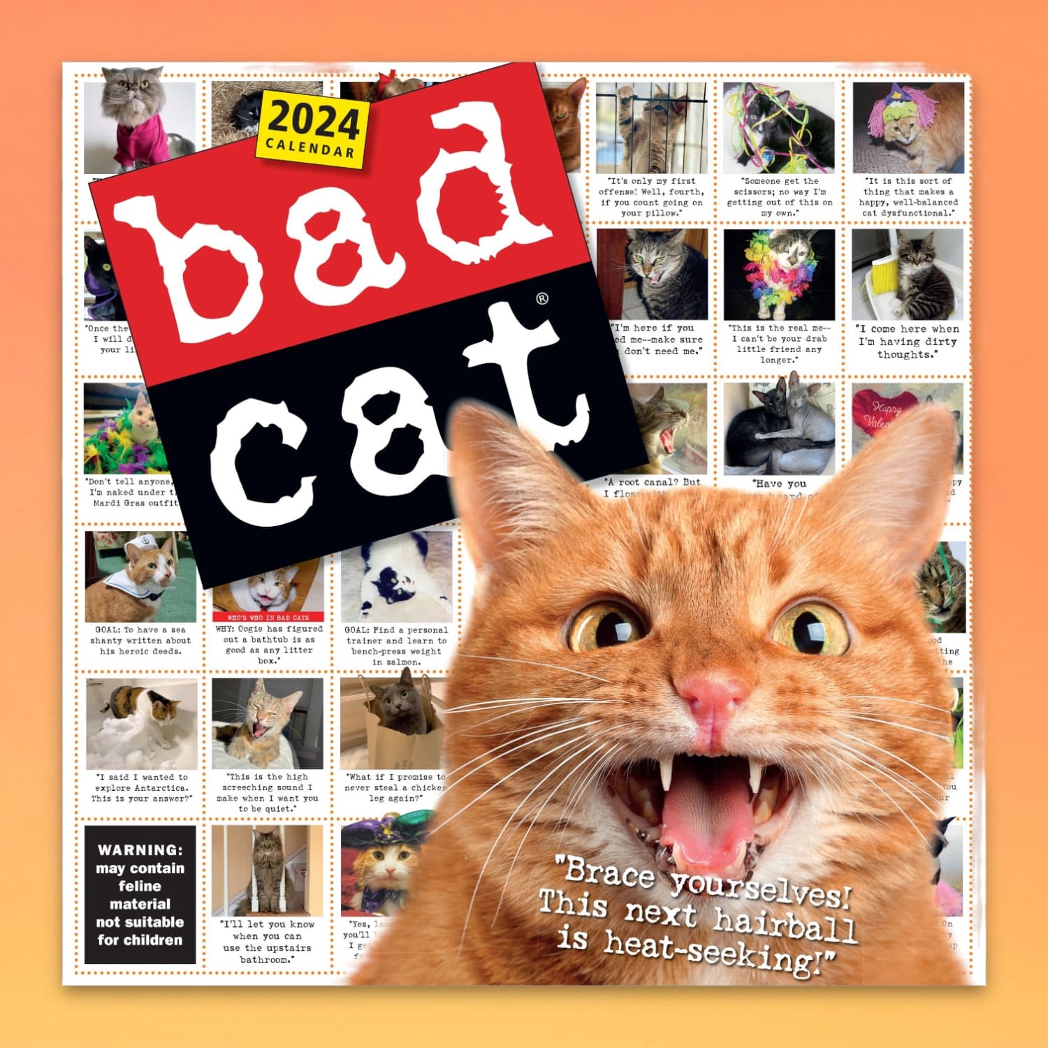 Day　Cat　a　Years　Calendar　Desk　Page　New　Gift　2024　Bad
