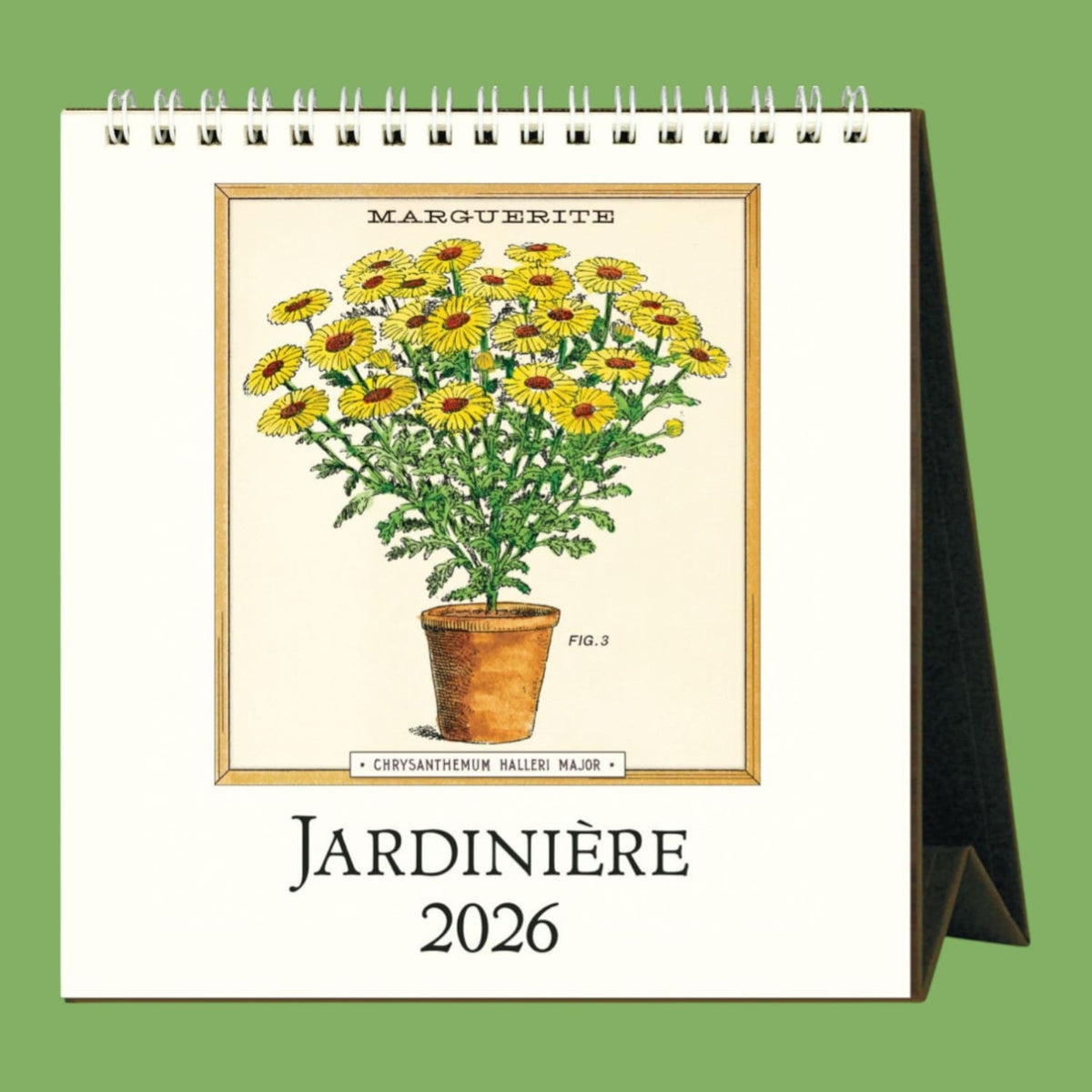 2026 Jardiniere Desk Calendar Cavallini & Co. Calendar