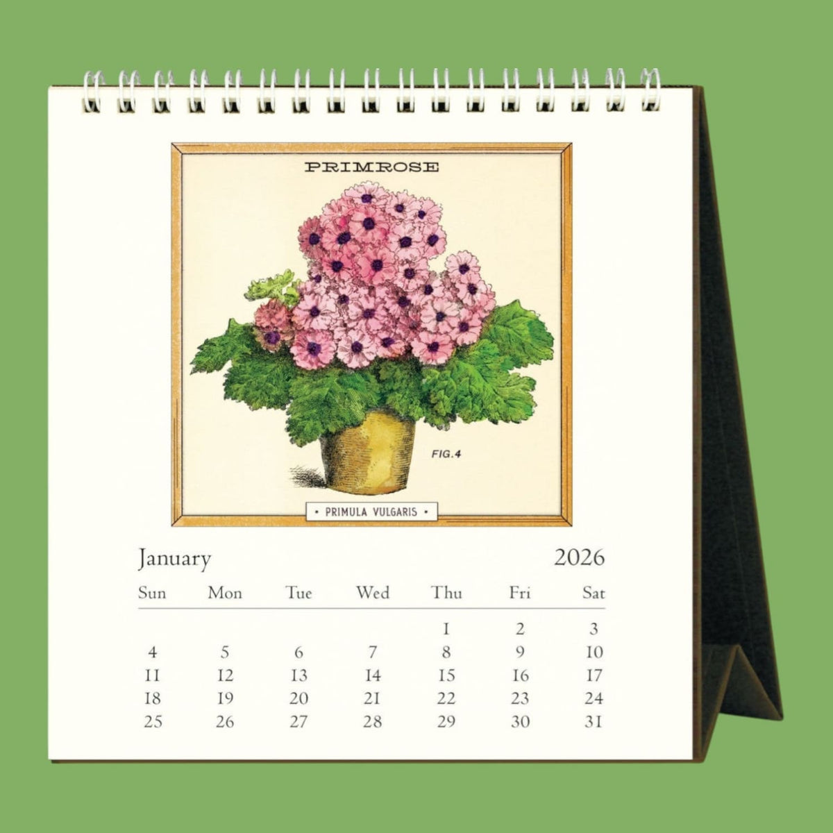 2026 Jardiniere Desk Calendar Cavallini & Co. Calendar