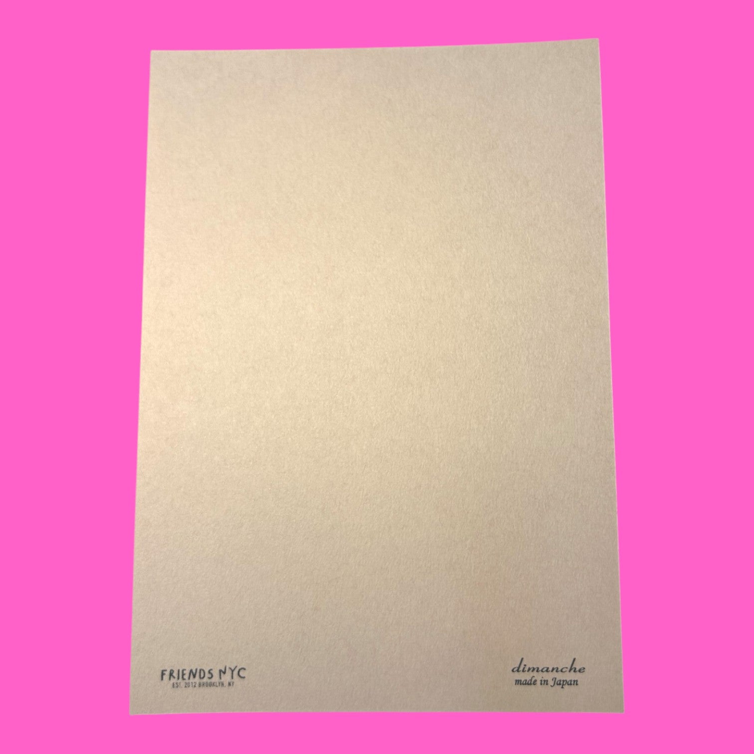 Hand Silkscreen Postcard - Chappell Cat