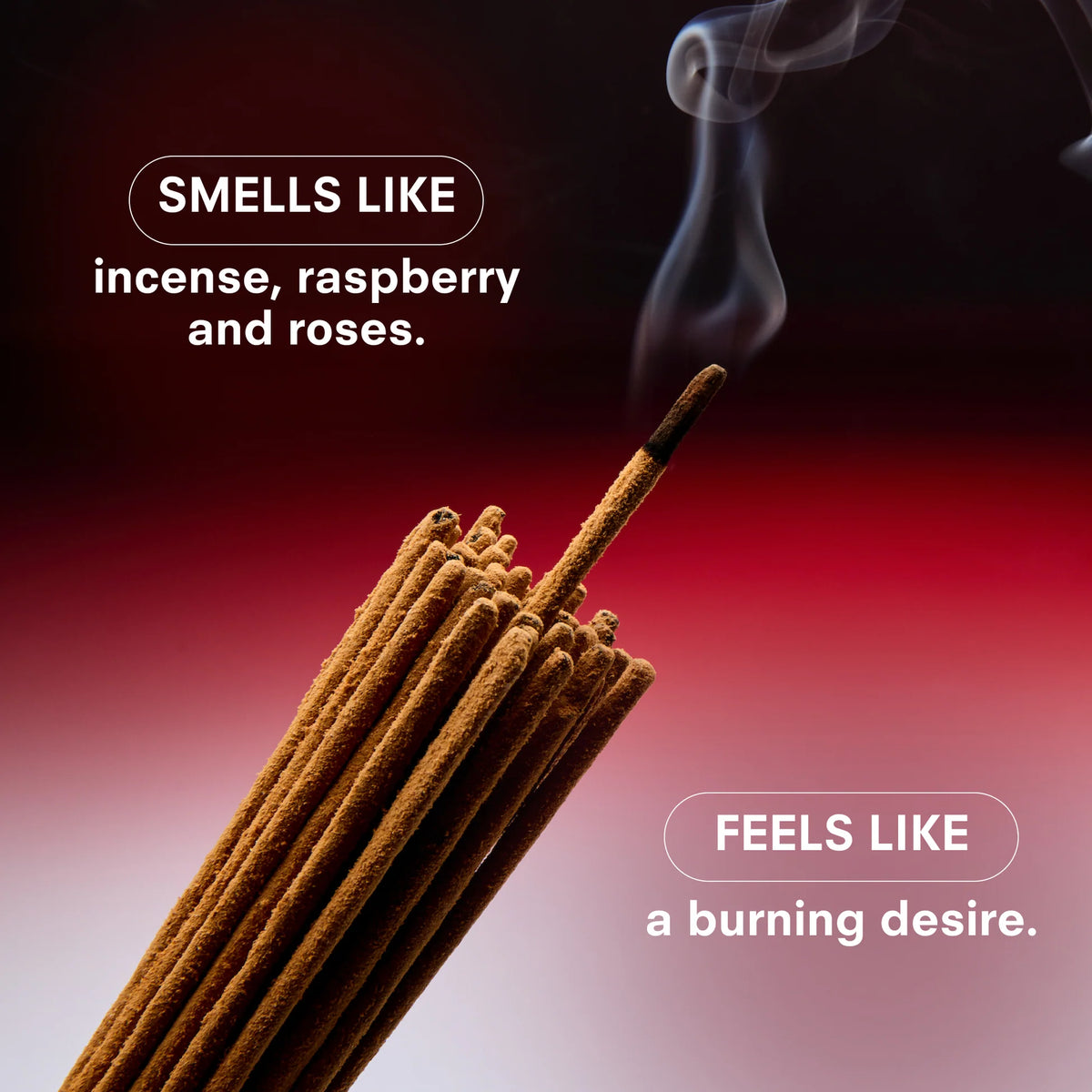 Boy Smells Hero Fine Fragrance - Red Hot