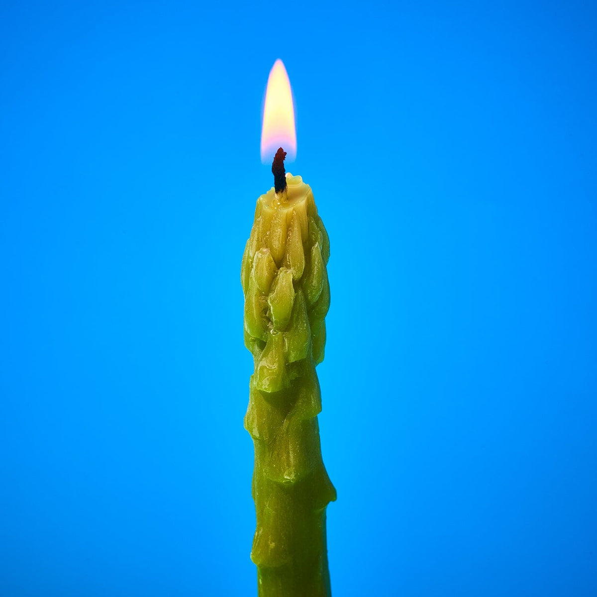 Beeswax Asparagus Taper Candles Set of 2 Candle - Taper