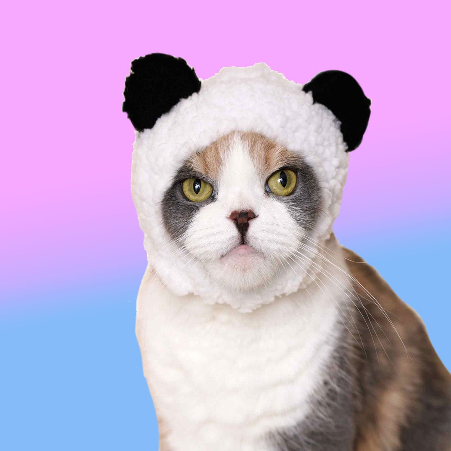 Cat Cap Blind Box Ci Bear Cat - Cap - Dad Gifts - for Mom -