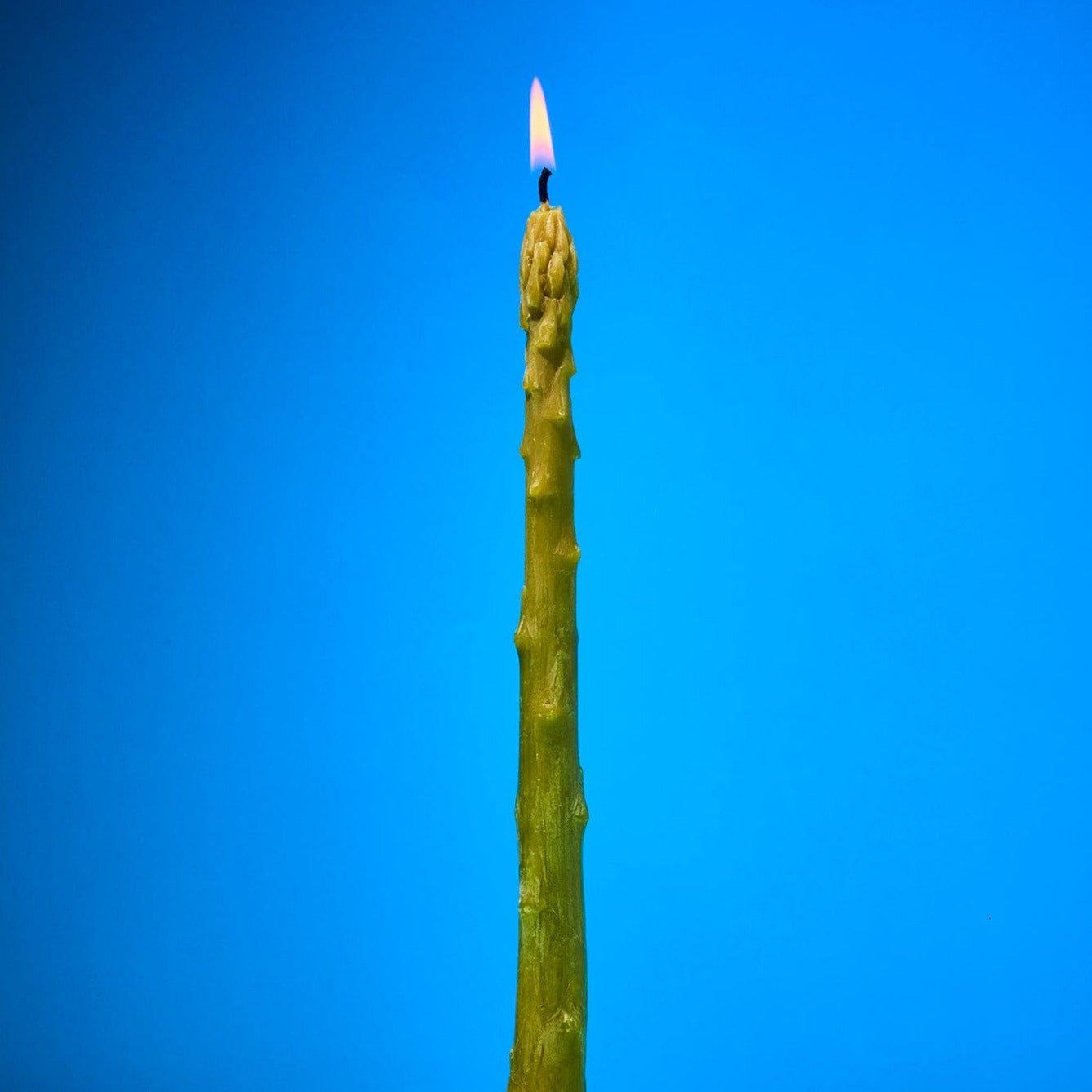 Beeswax Asparagus Taper Candles Set of 2 Candle - Taper