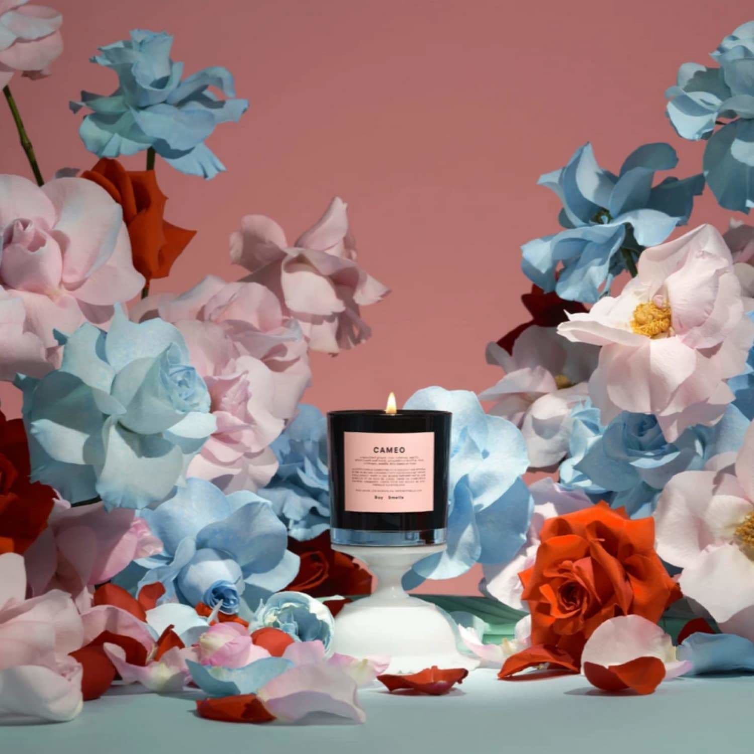 Boy Smells Candle - Cameo Groupbycolor