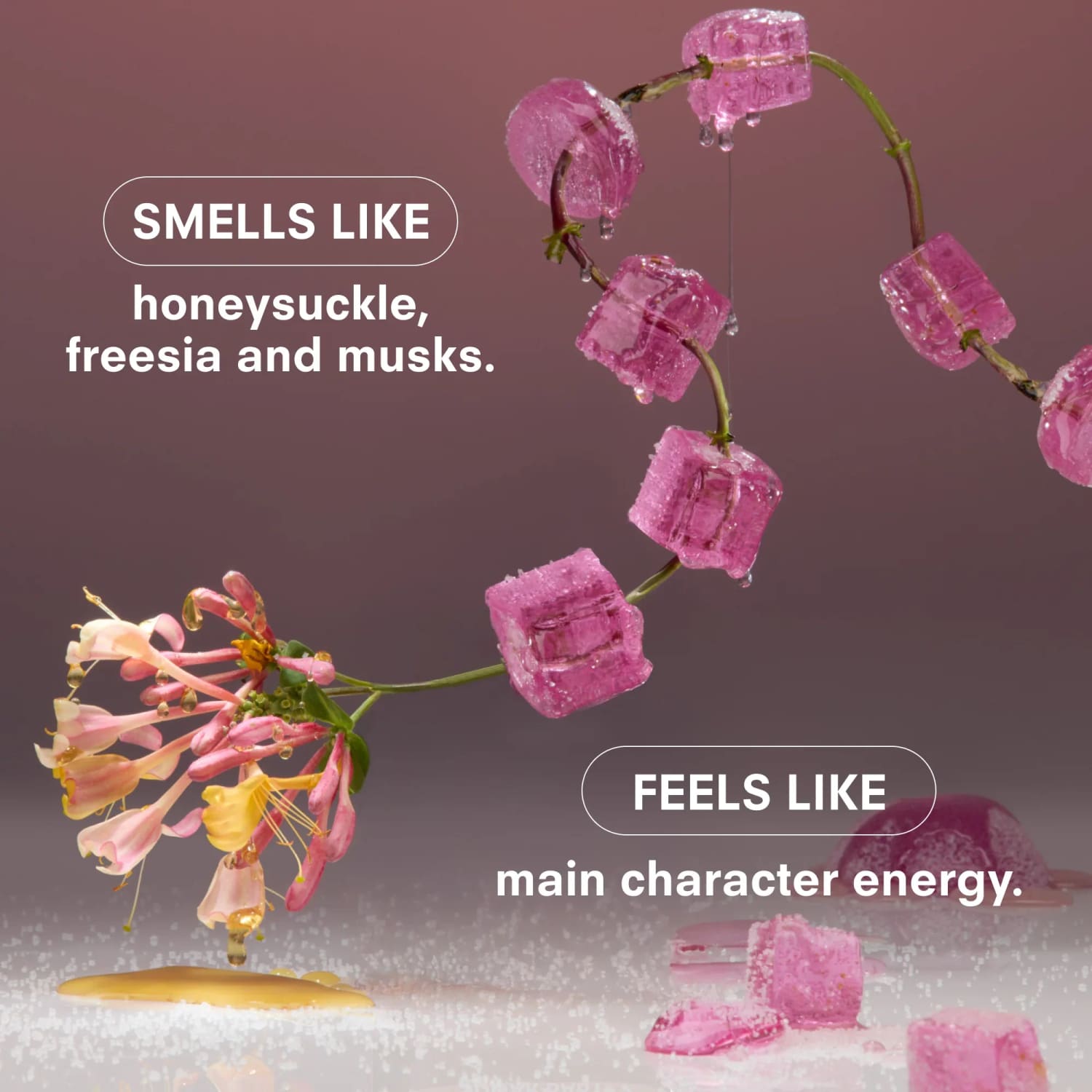 Boy Smells Hero Fine Fragrance 50ml Sugar Baby Body - Care