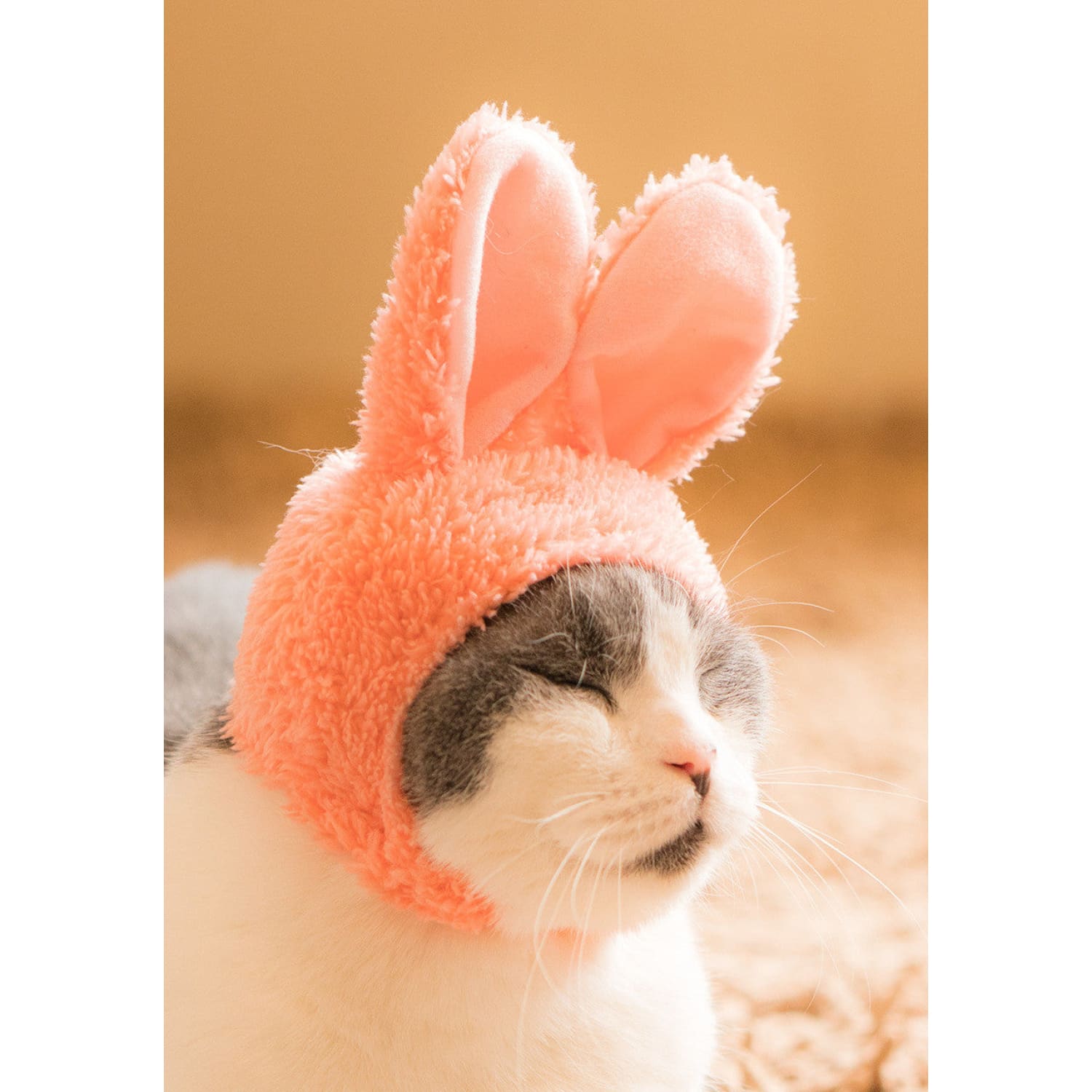Cat Cap Blind Box Ci Rabbit Grabngo2022 - Groupbycolor