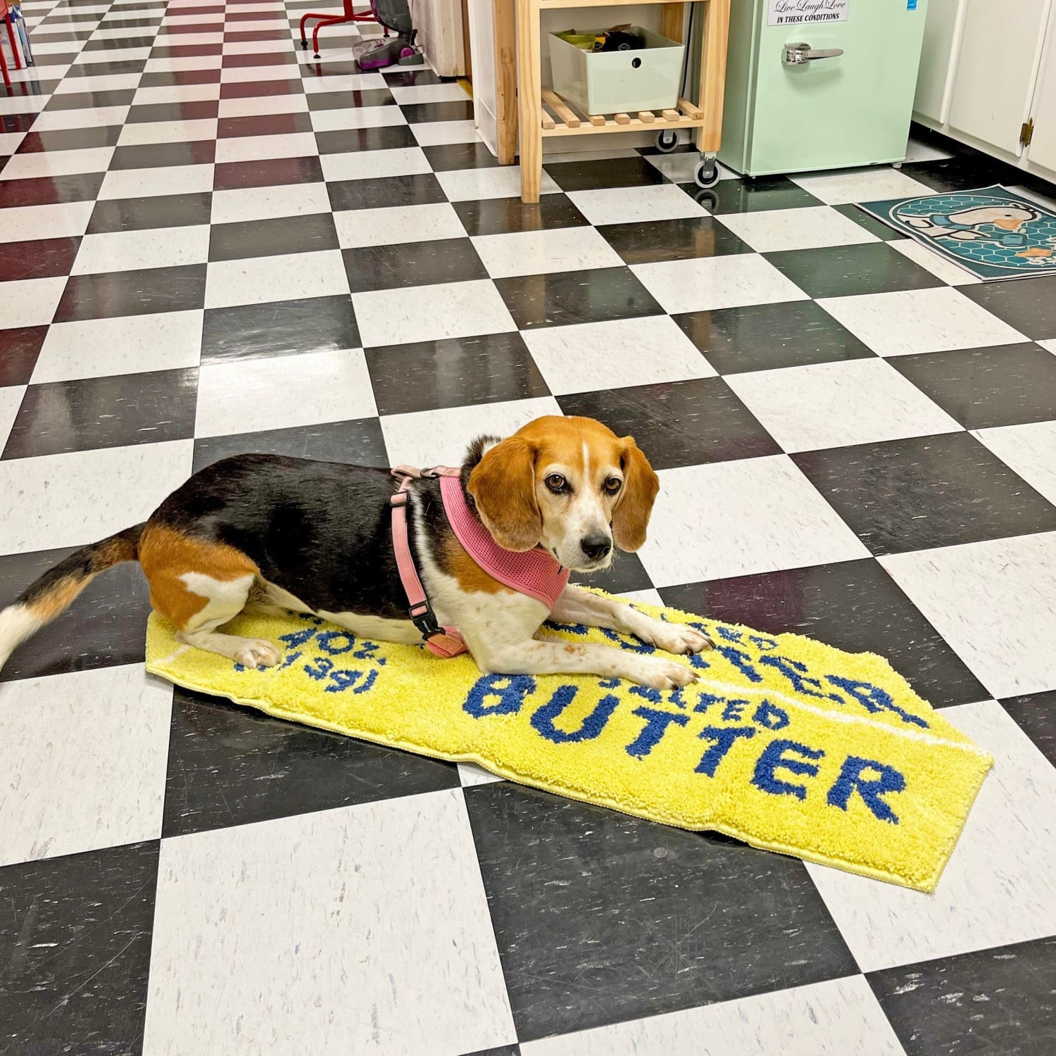 Butter Accent Rug Accent Rug - Butter - Fake Food - Novelty