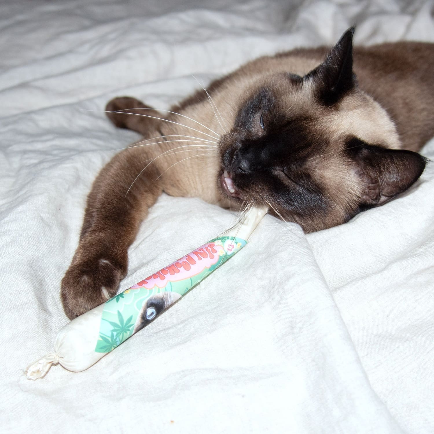 Catnip Joint Cat, Catnip, Joint, Pet, Poppy’s Hollywood Nip