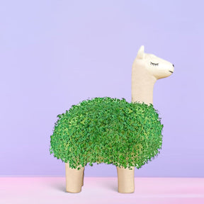 Chia Seed Animal Planter - For Mom Gifts Gardening Indoor