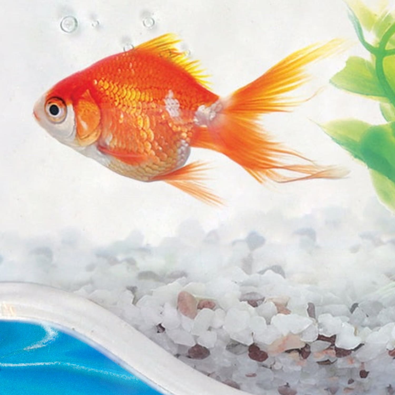 Chill Out Eye Mask Fish Bowl Eye Mask - Pad - Face - Care -