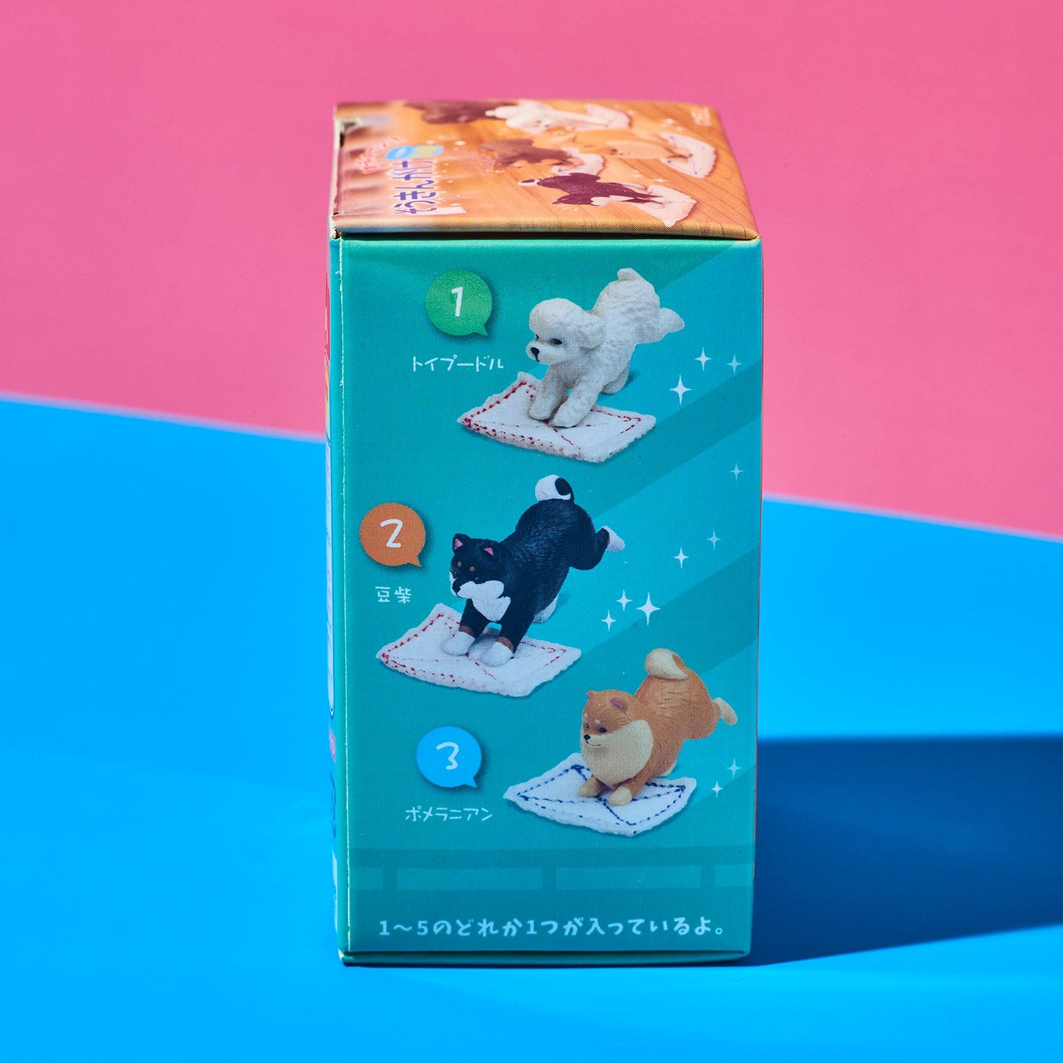 Cleaning Dogs Blind Box Xsteph0625a
