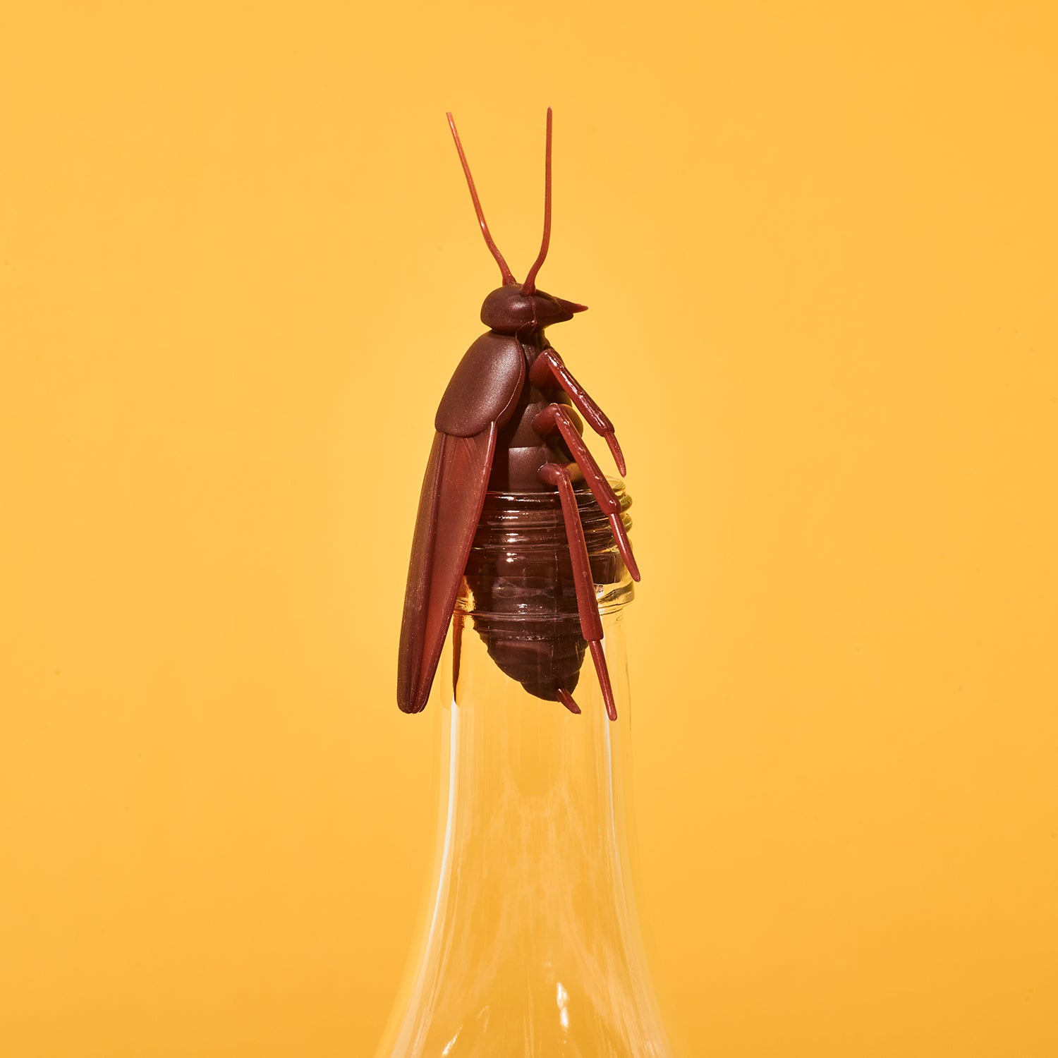 Cockroach Bottle Stopper | Friends Nyc Brooklyn Ny