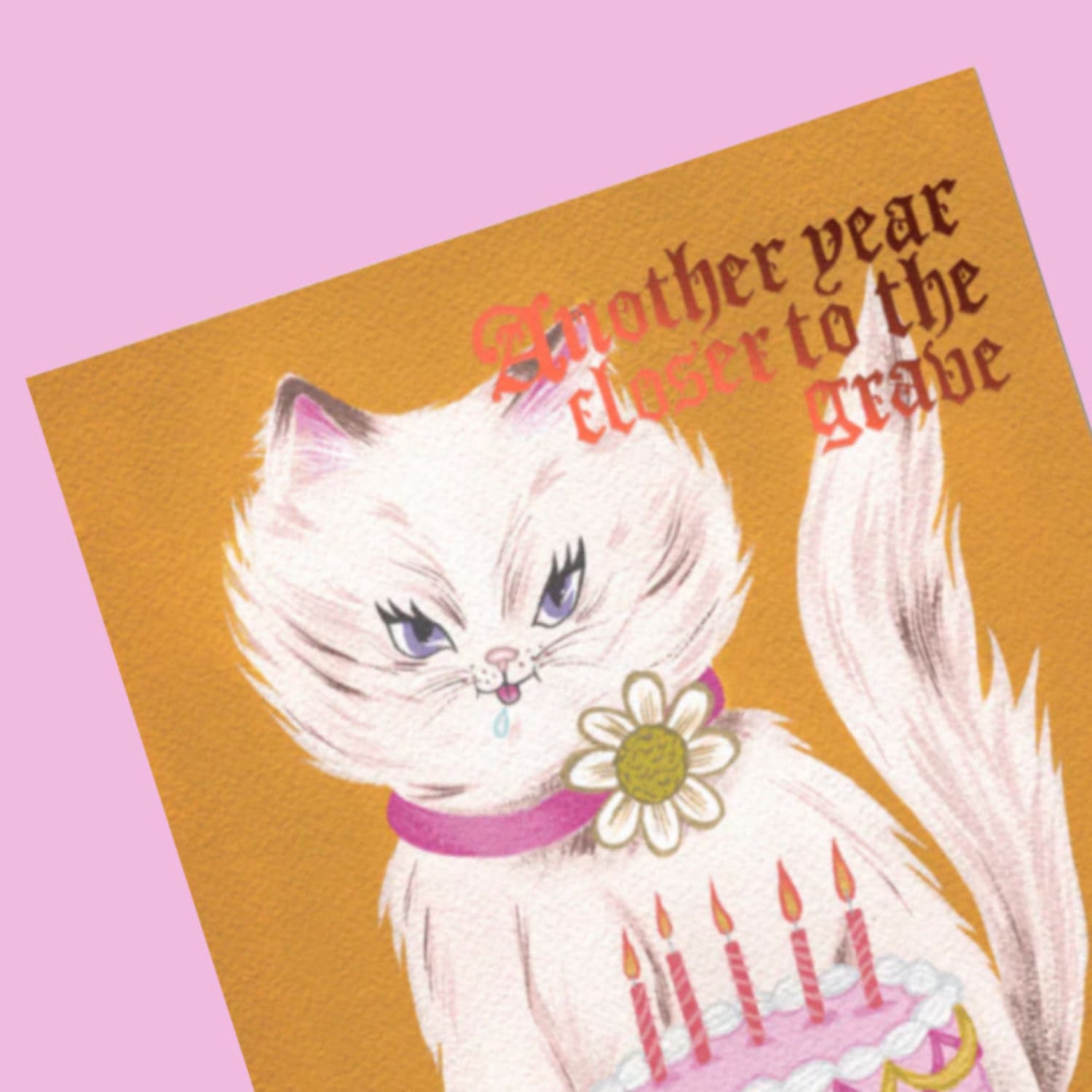 Cynical Cat Birthday Greeting Card Birthday - Cat - Lover -