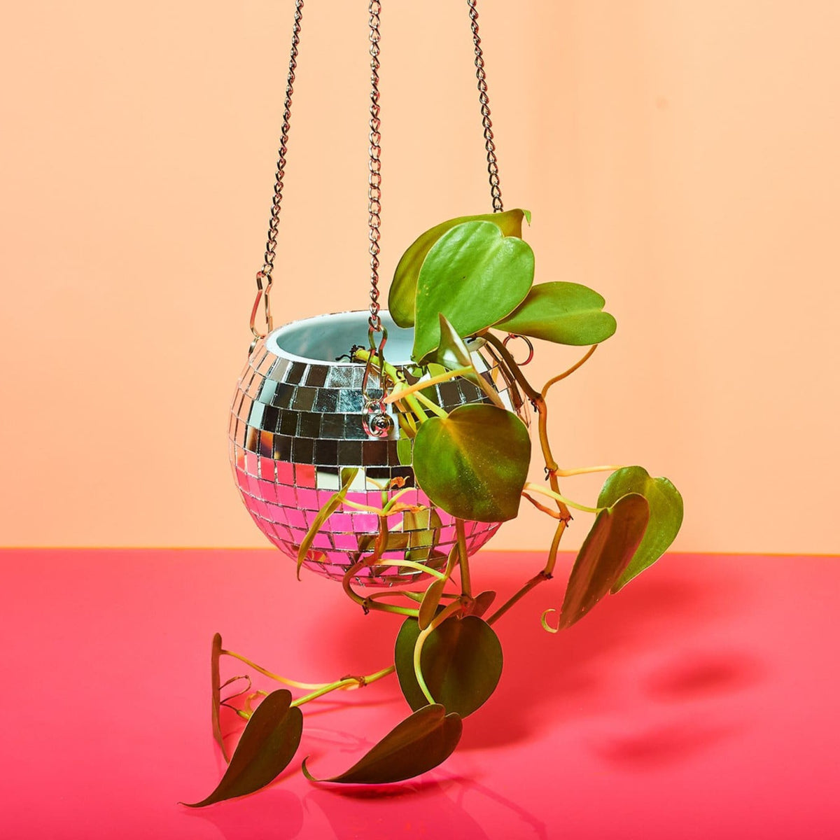 Disco Ball Plant Hanger 4 Stephaugust