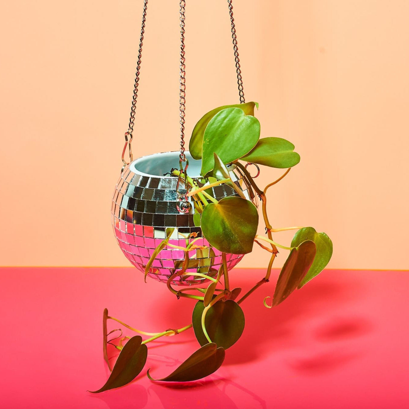 Disco Ball Plant Hanger 4 Stephaugust