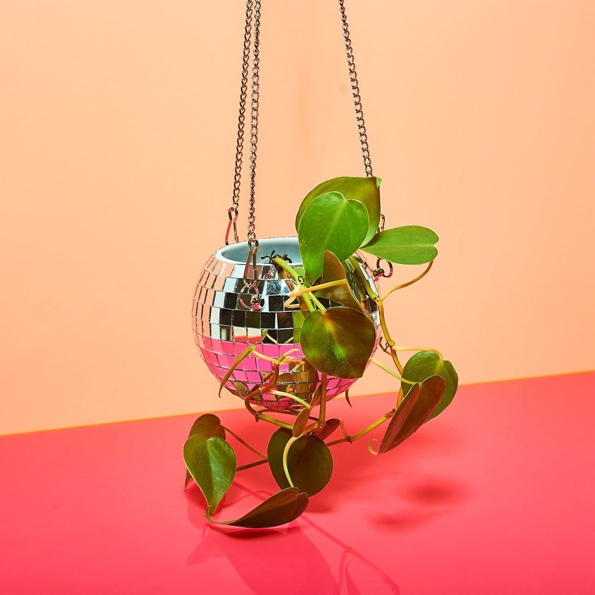 Disco Ball Plant Hanger 4 Stephaugust