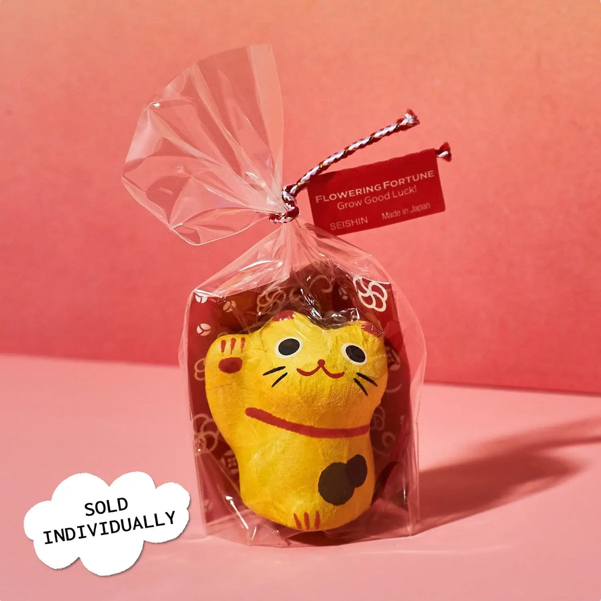 Flowering Fortunes Grow Kit Back To School - Bff Gifts - Cat