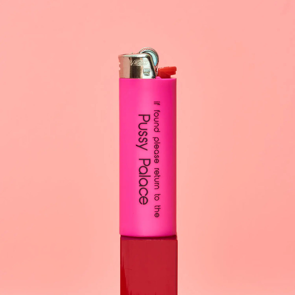 Friends Nyc Bic Lighter - Pussy Palace Printed | Brooklyn Ny