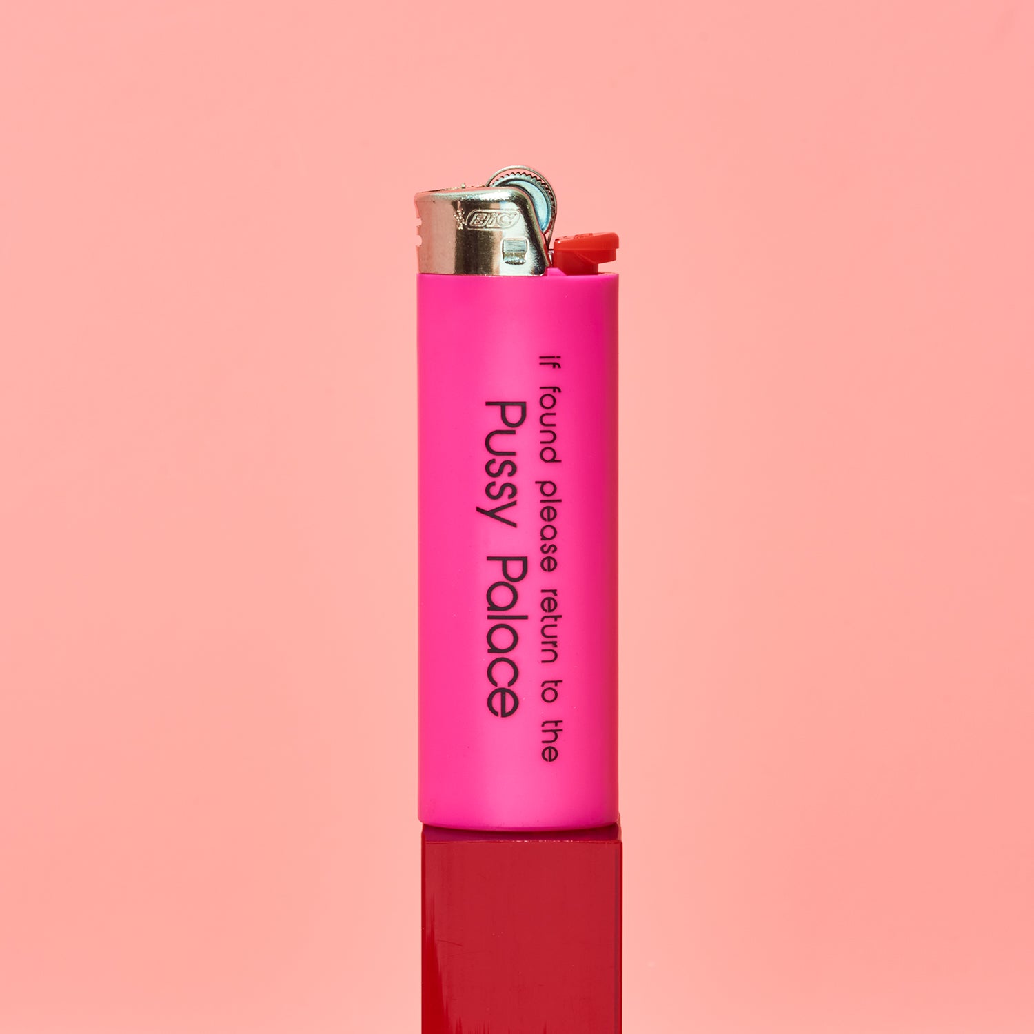 Friends Nyc Bic Lighter - Pussy Palace Printed | Brooklyn Ny