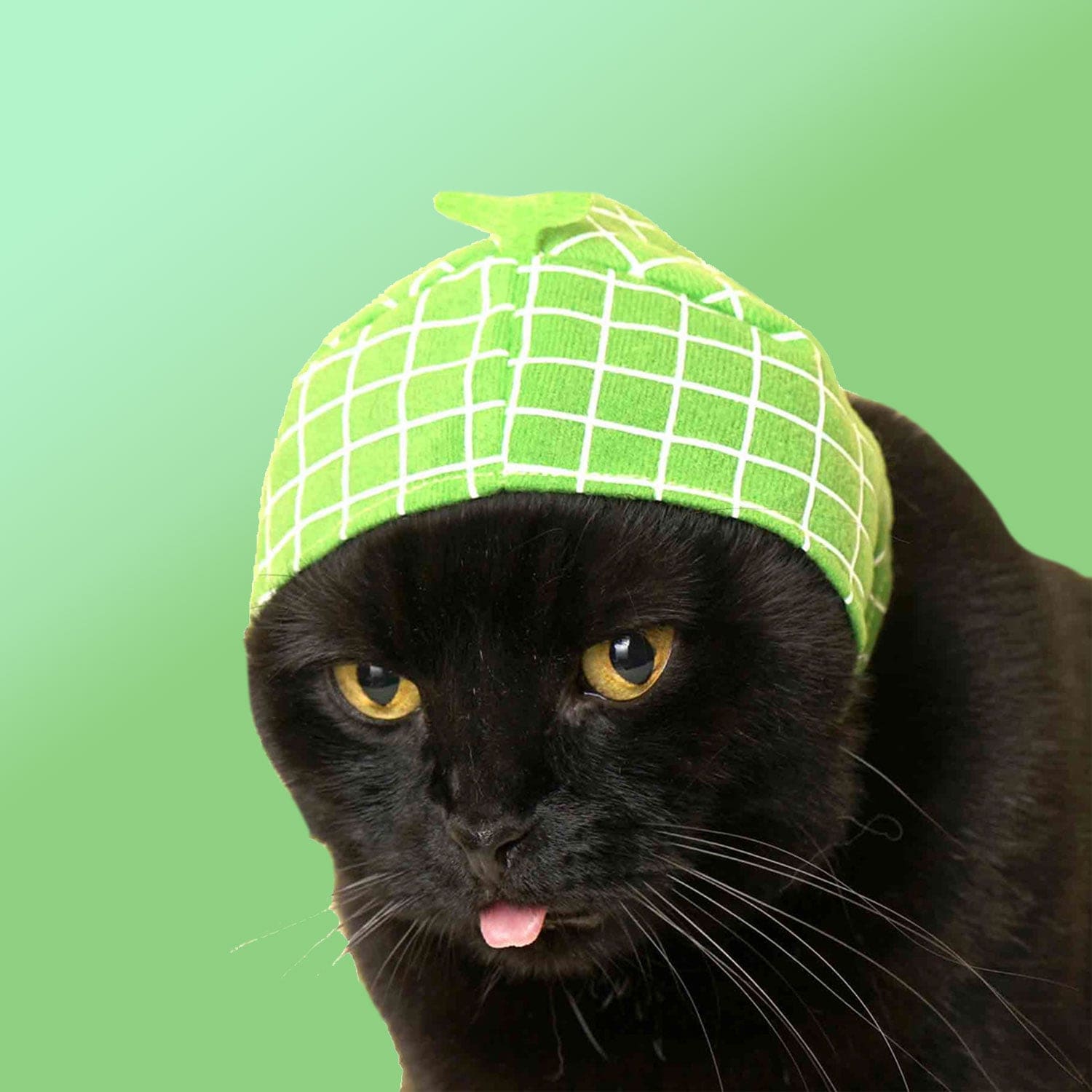 Cat Cap Fruit Hat Cat - Cap - Dad Gifts - for Mom - Hat