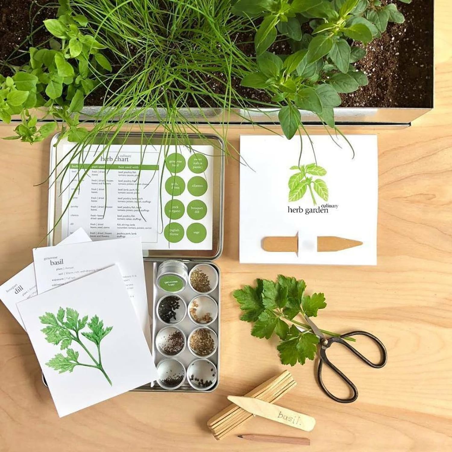 Garden Maker Culinary Herbs Mmtracking - Web0125 - Xpsd0125b