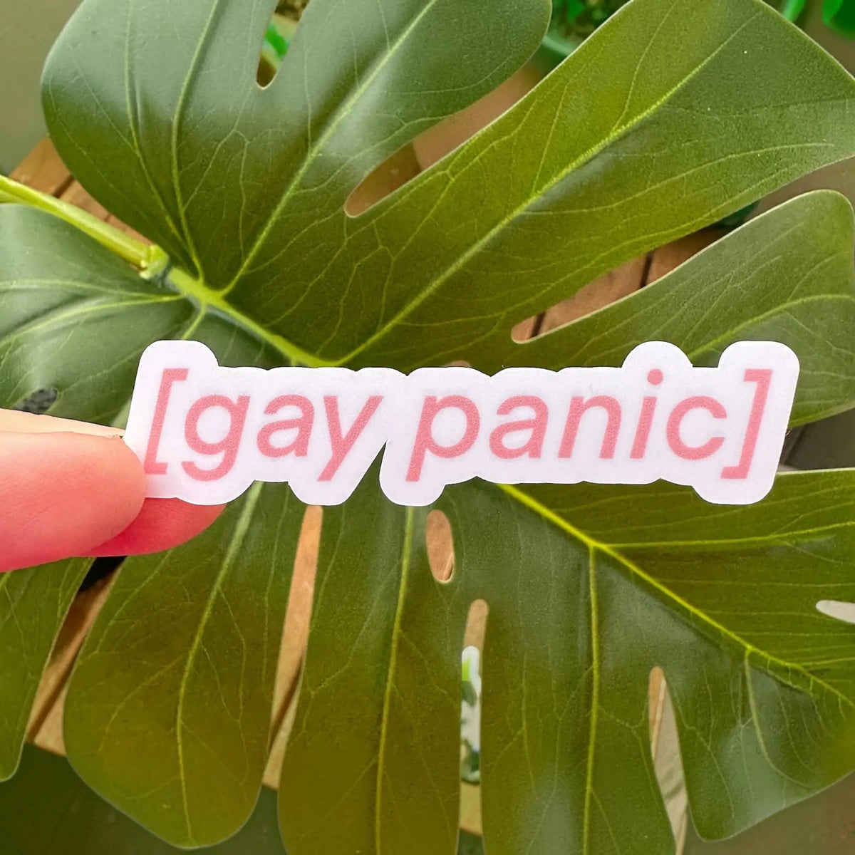 Gay Panic Sticker Sss | Friends Nyc Brooklyn Ny
