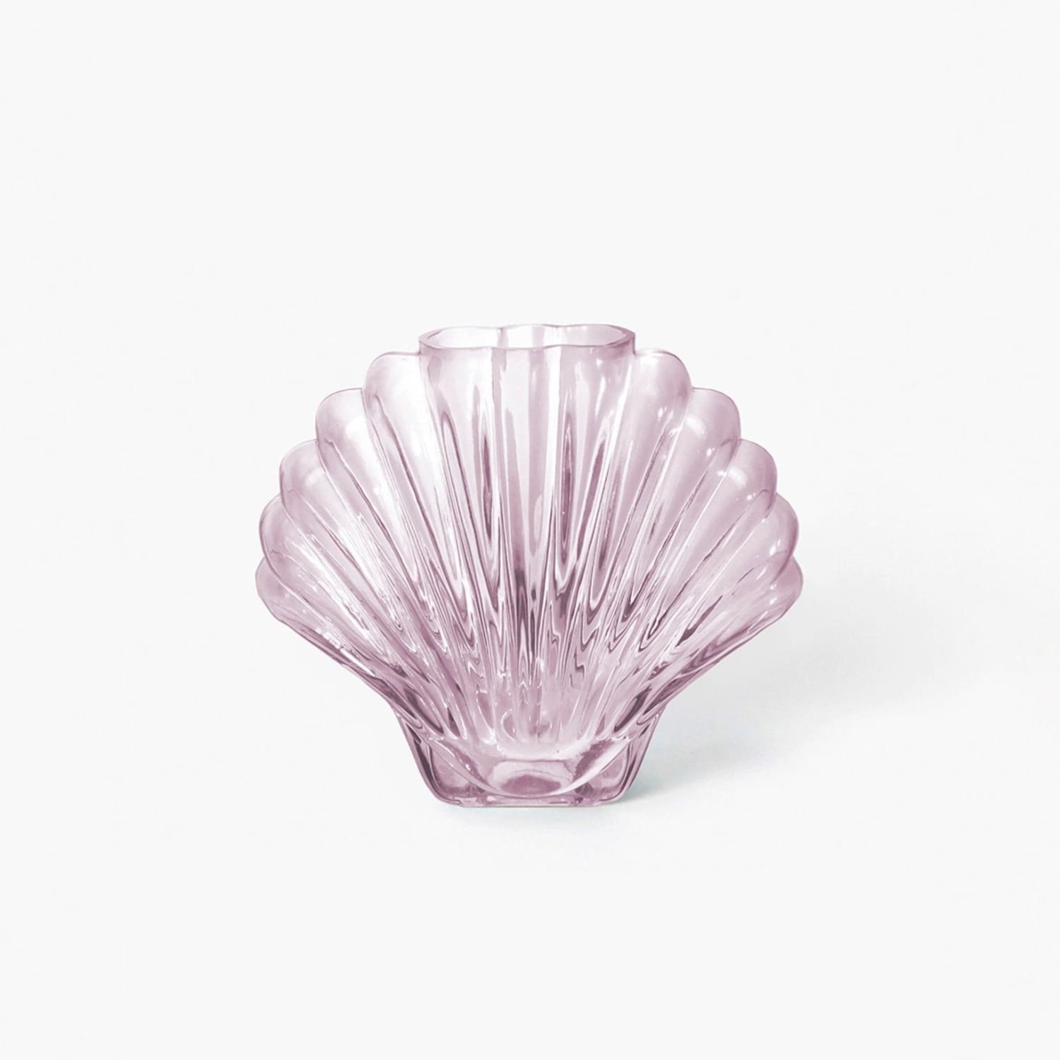 Glass Shell Vase Back To School - Dorm Decor - Femme -