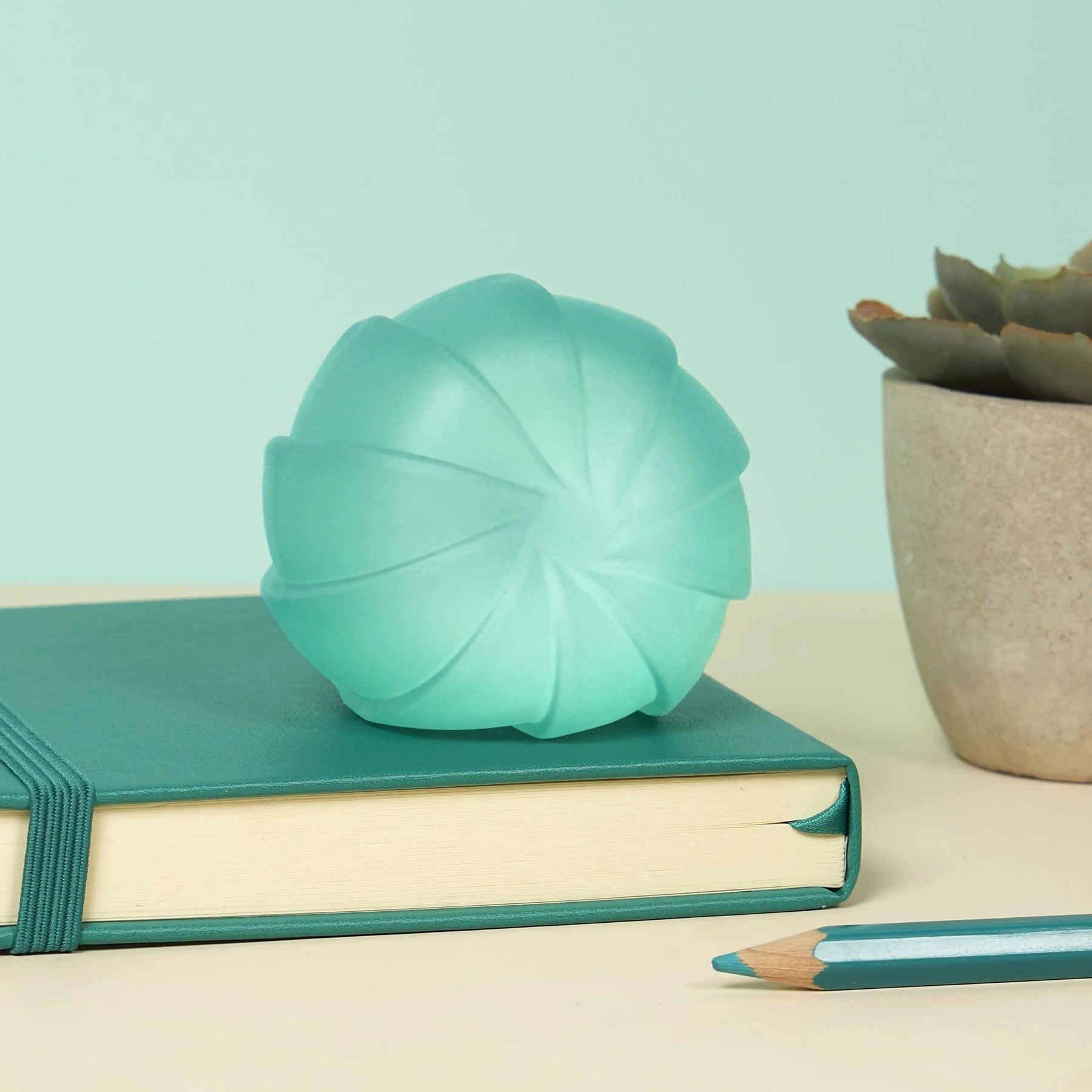Gump Surface - Assorted – Sensory Fidget Toy | Friends Nyc