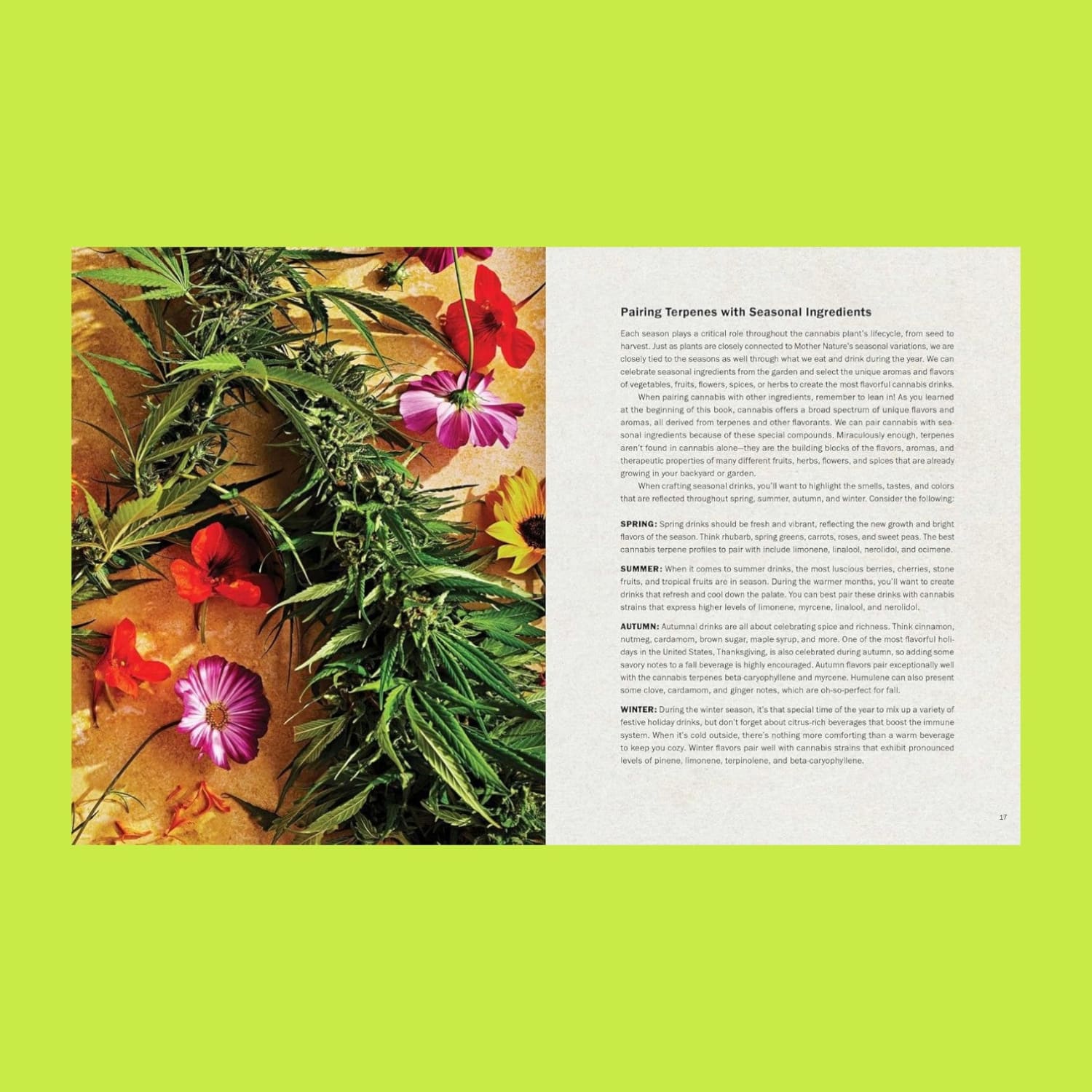 High Times: Cannabis Cocktails Recipe Book Canna - Culture