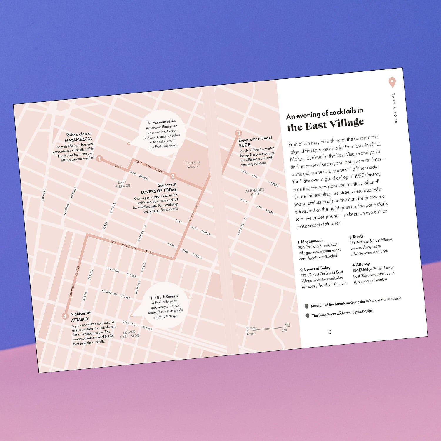 Like a Local: new York City Book - Local - new York City -