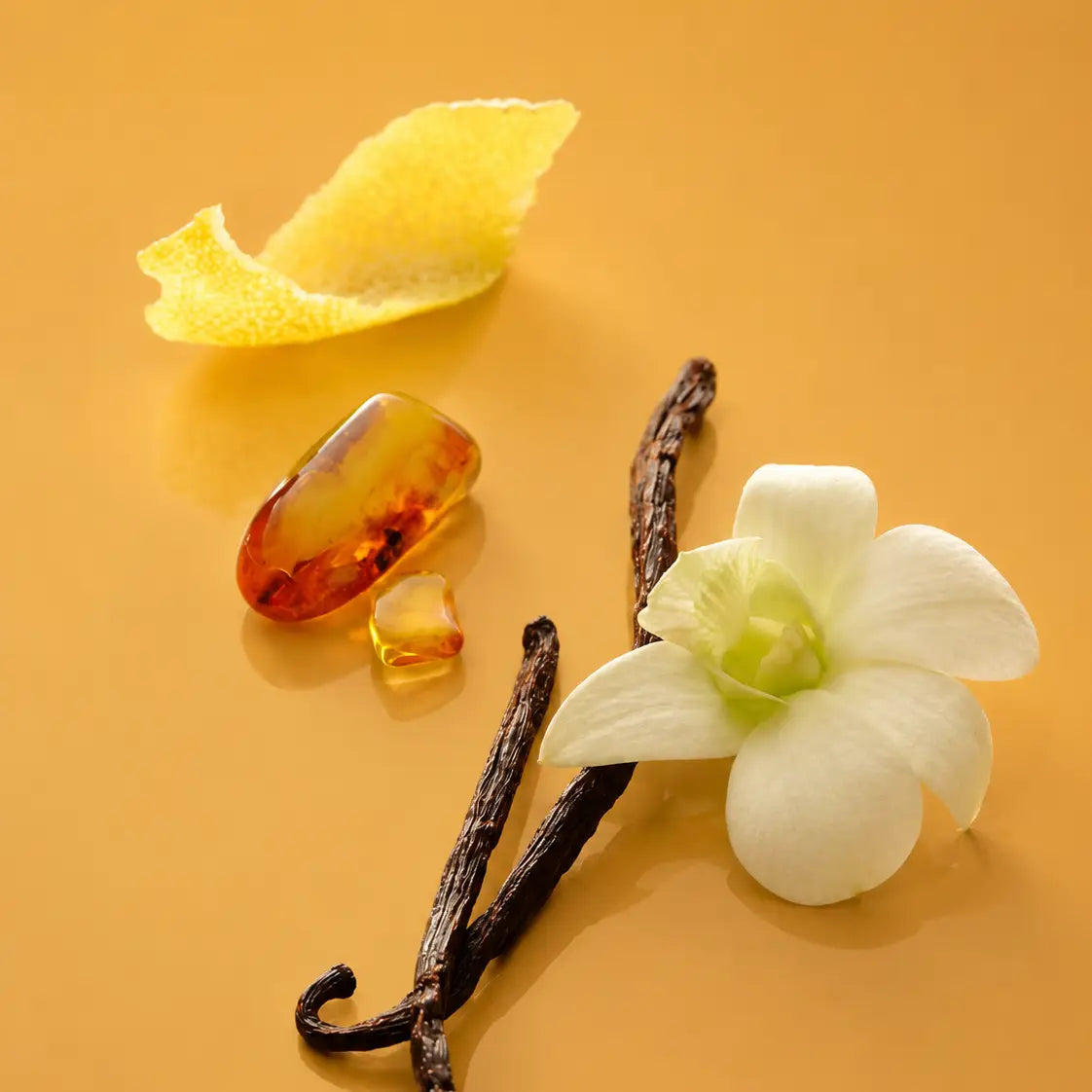 Maison Louis Marie No. 15 Candle - Vanille Infinie Soy