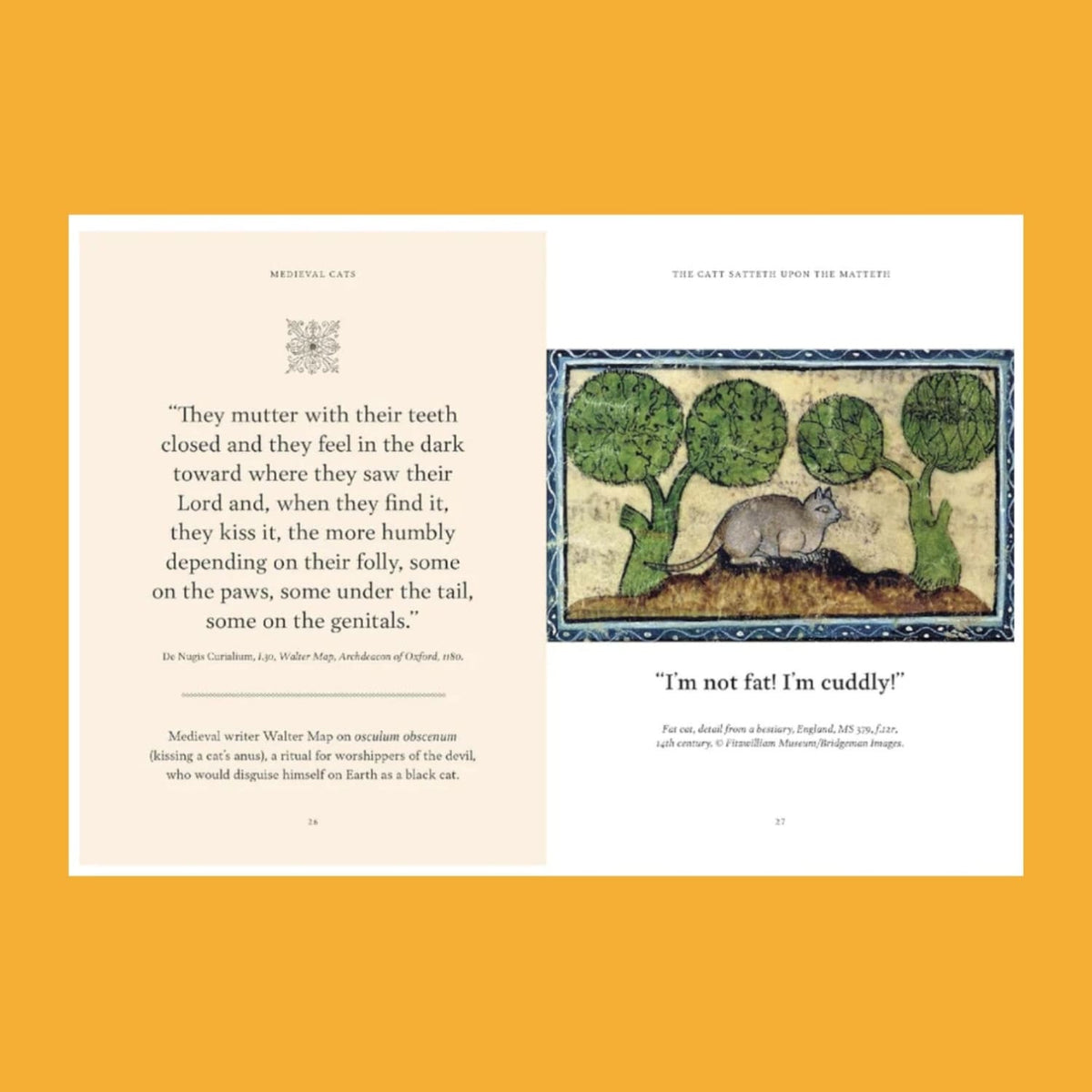 Medieval Cats Art Book Arts and Crafts Cats Coffee Table