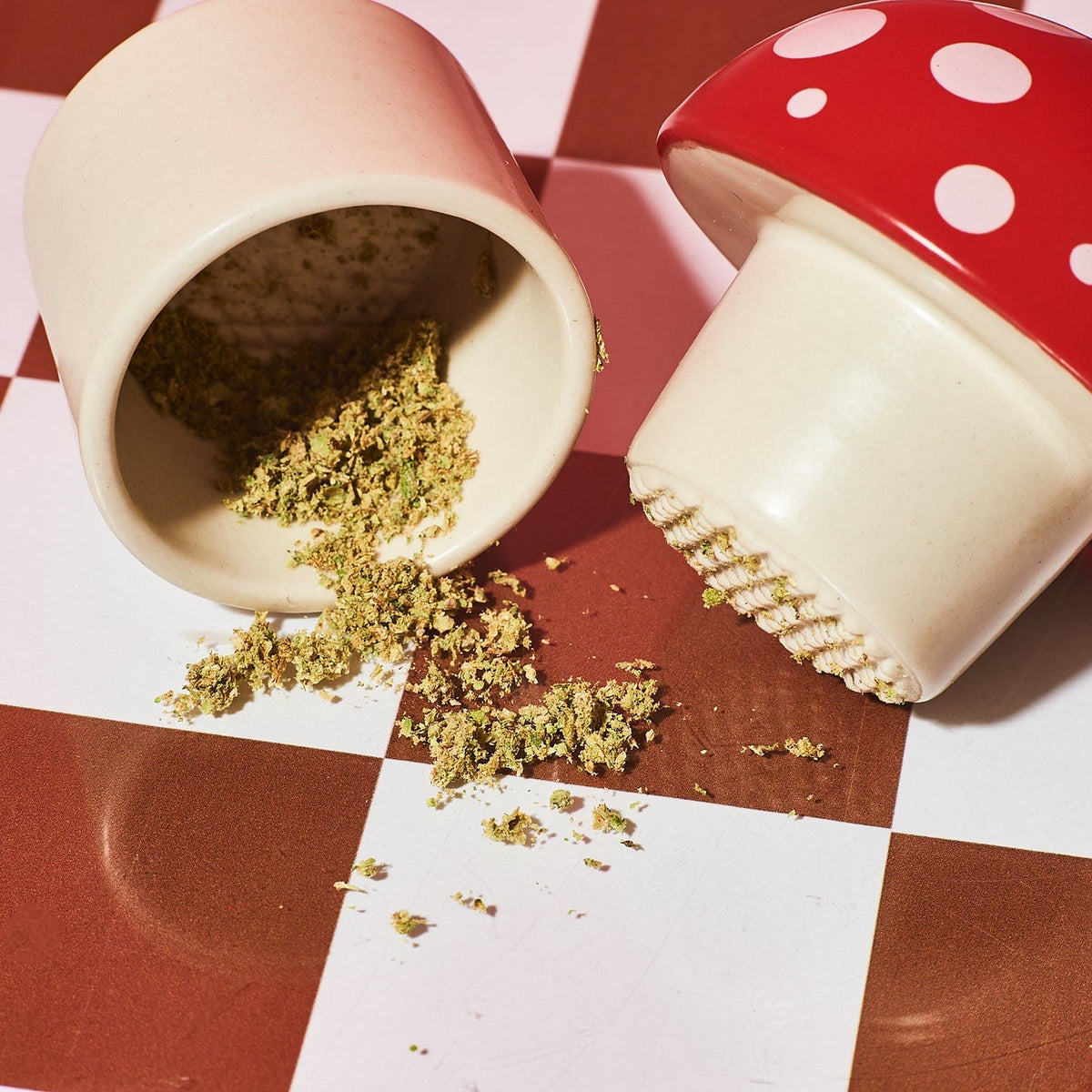 Merry Mushroom Grinder 5297987 0323 - Q123