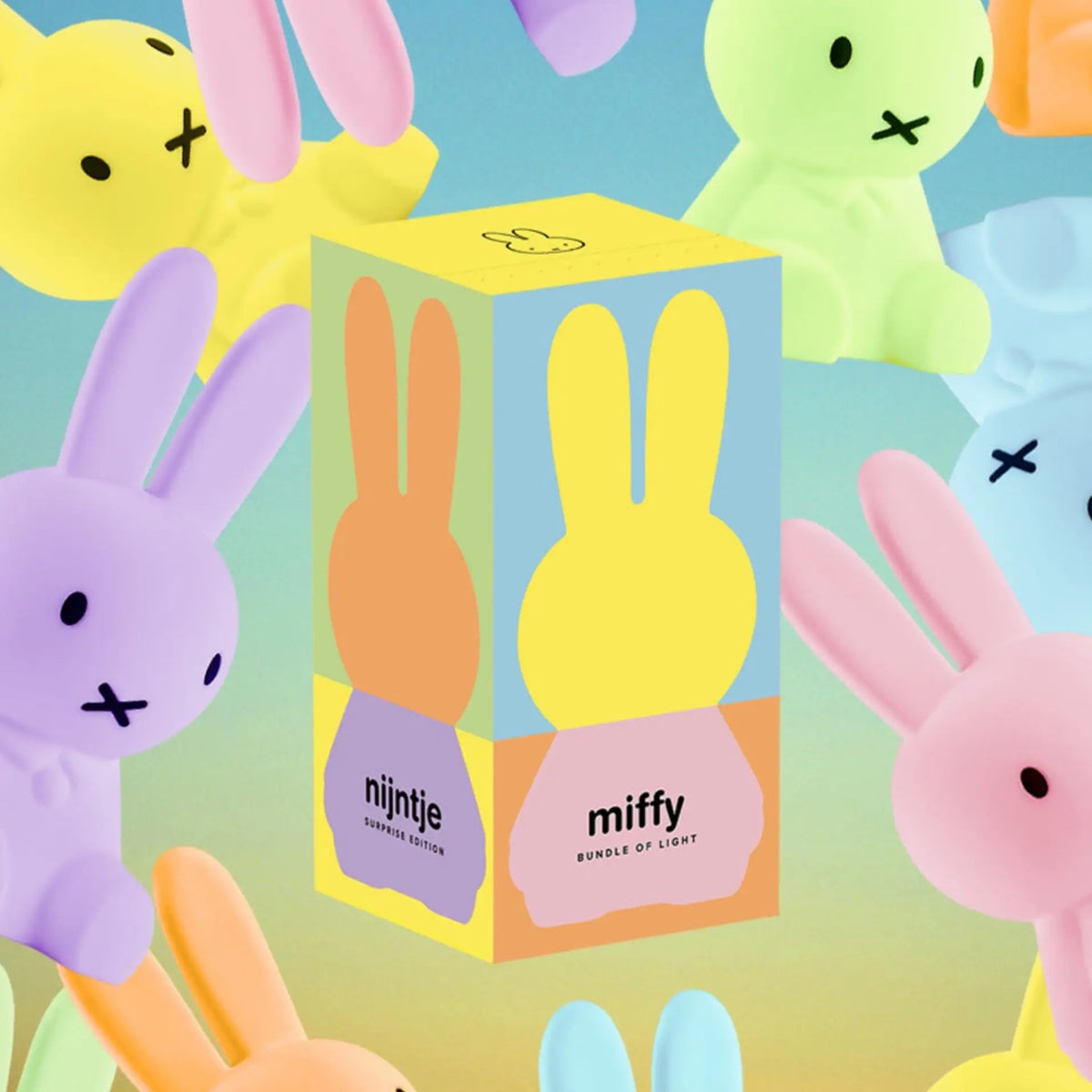 Miffy Colourful Bundle of Light Blind Box | Night | Friends