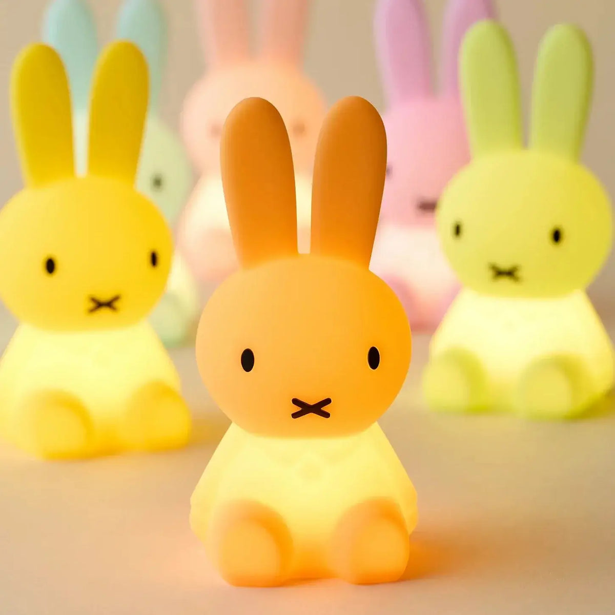 Miffy Colourful Bundle of Light Blind Box | Night | Friends