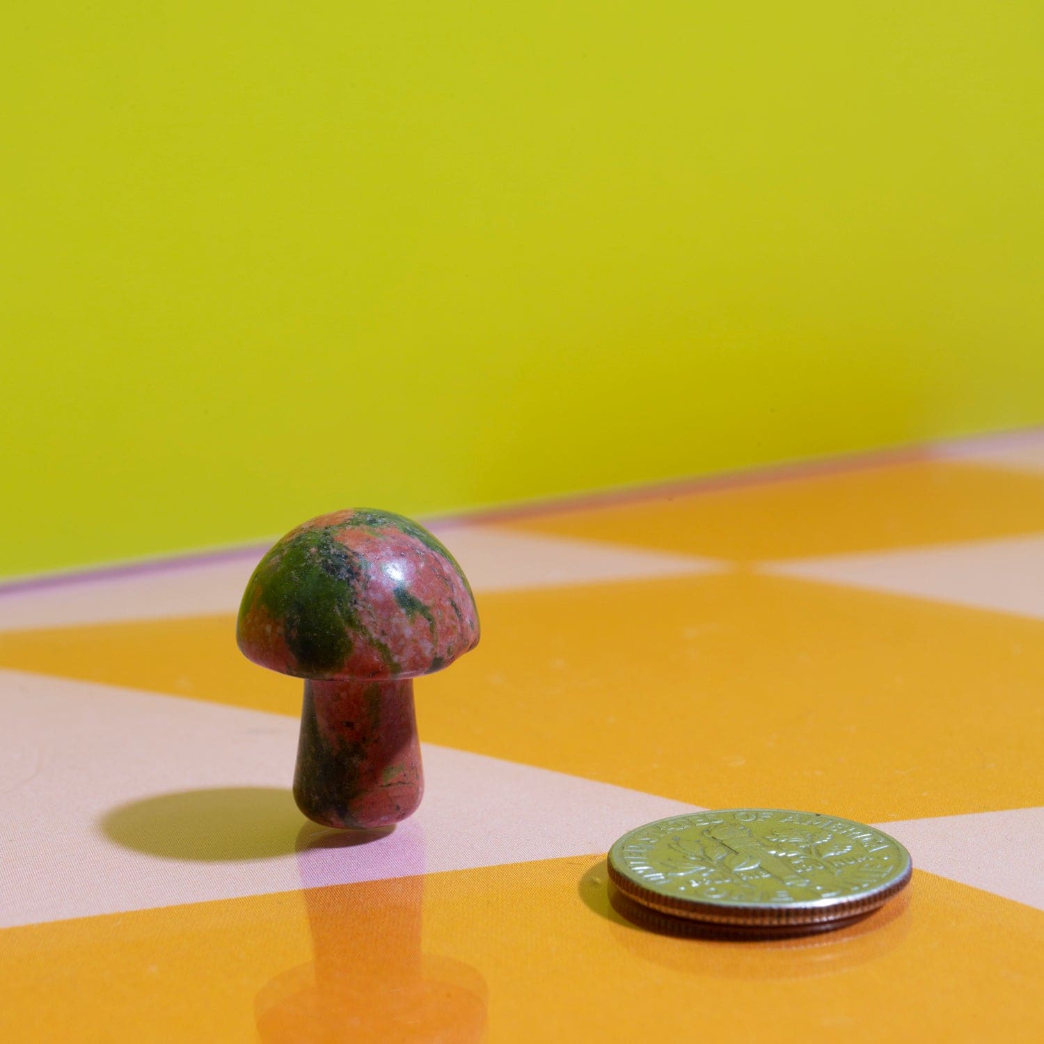 Mini Stone Mushroom Mushroom - Shroompower - Stone