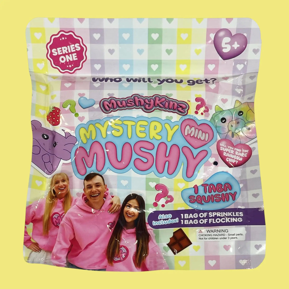 Mushykinz Squishy Figures Blind Bag | Friends Nyc Brooklyn