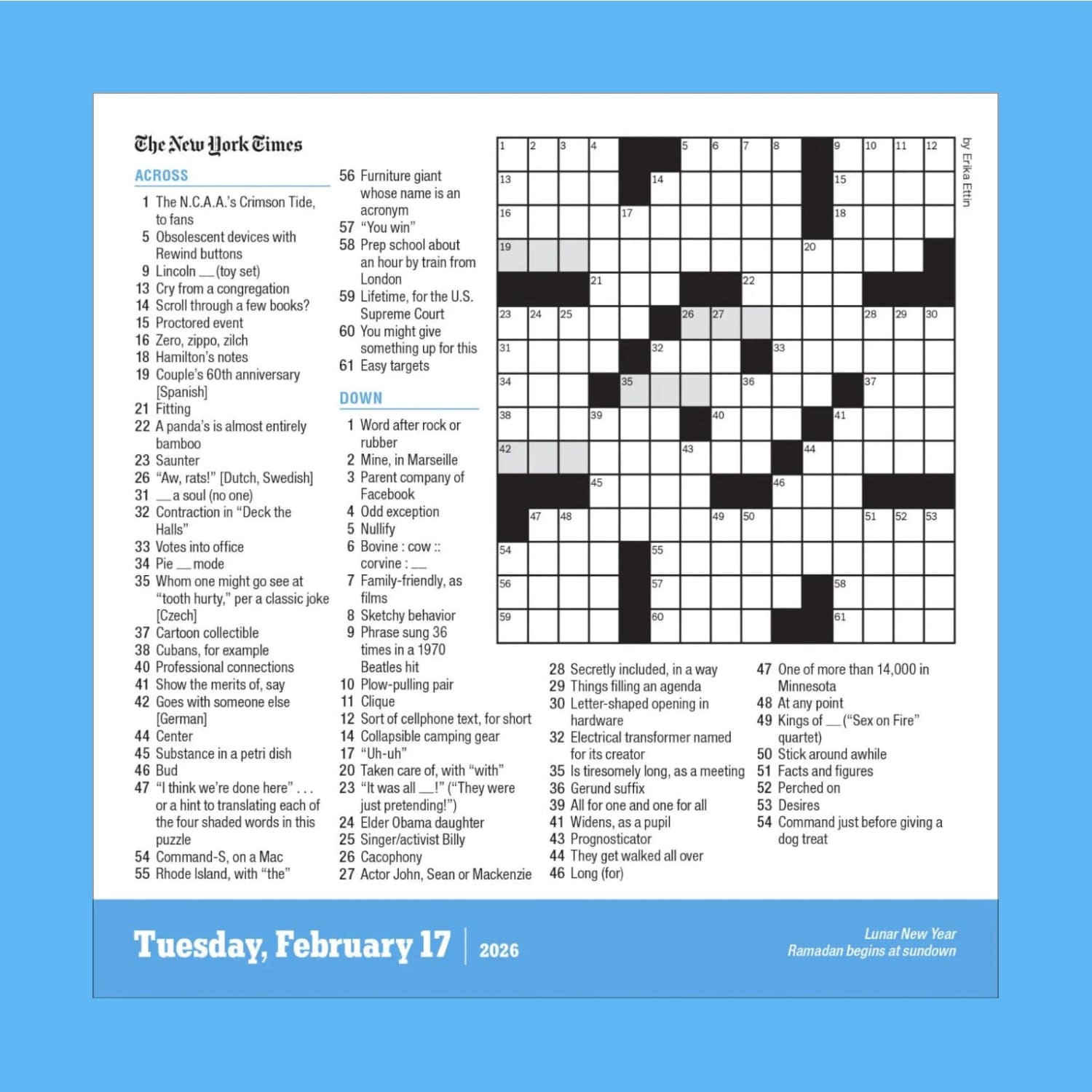 New York Times Crossword Page a Day Calendar 2026 Brain