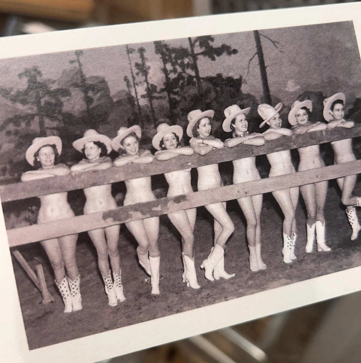 Nude Cowgirls by Fence Postcard Fip | Friends Nyc Brooklyn