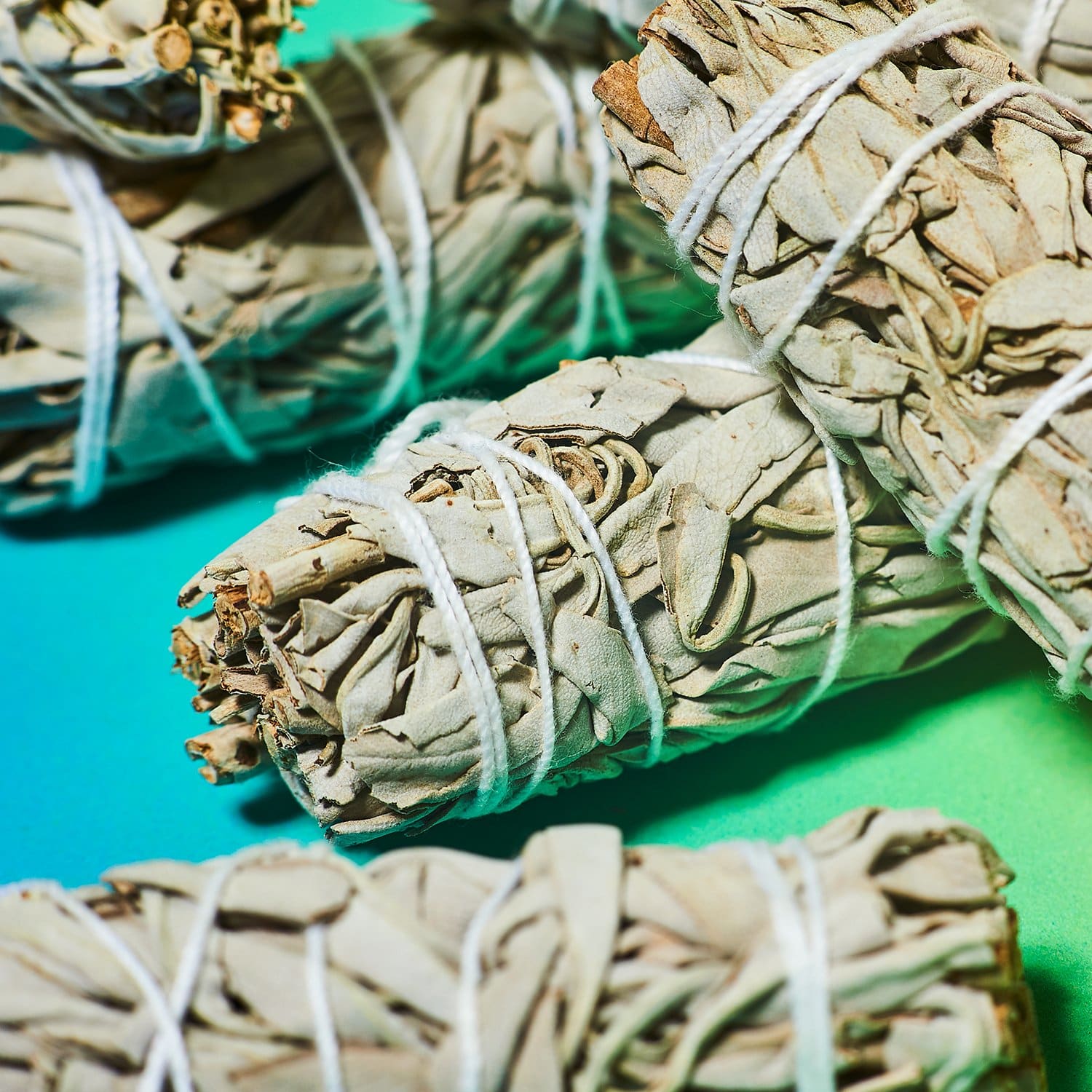 Organic Sage Stick Cleansing - Friends Her/them - Phoebe -