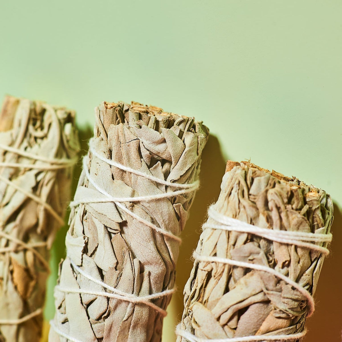 Organic Sage Stick Cleansing - Friends Her/them - Phoebe -