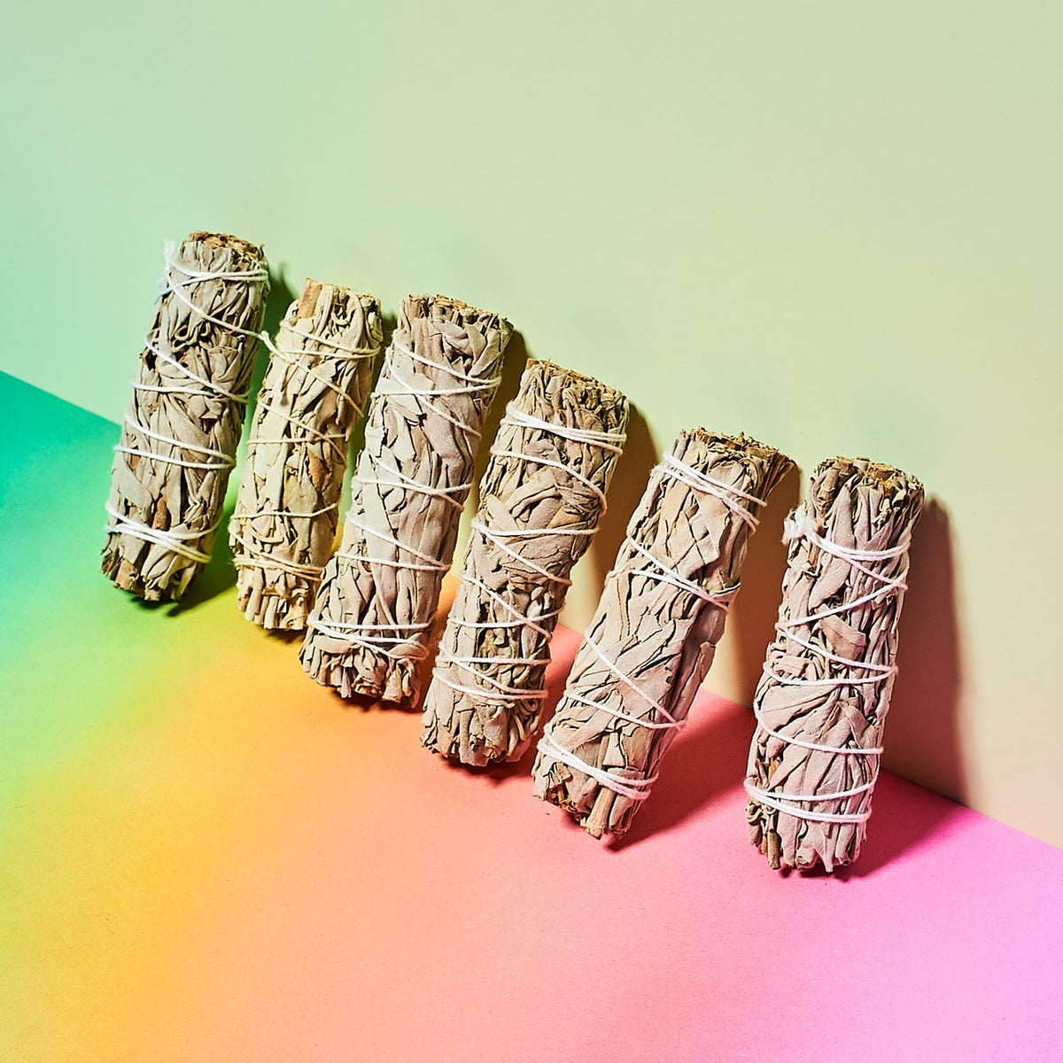 Organic Sage Stick Cleansing - Friends Her/them - Phoebe -