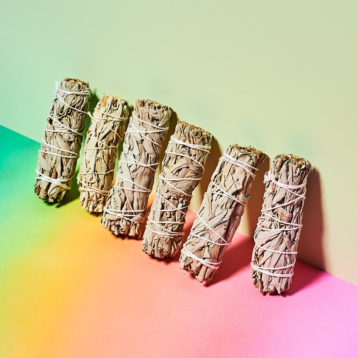 Organic Sage Stick Cleansing - Friends Her/them - Phoebe -