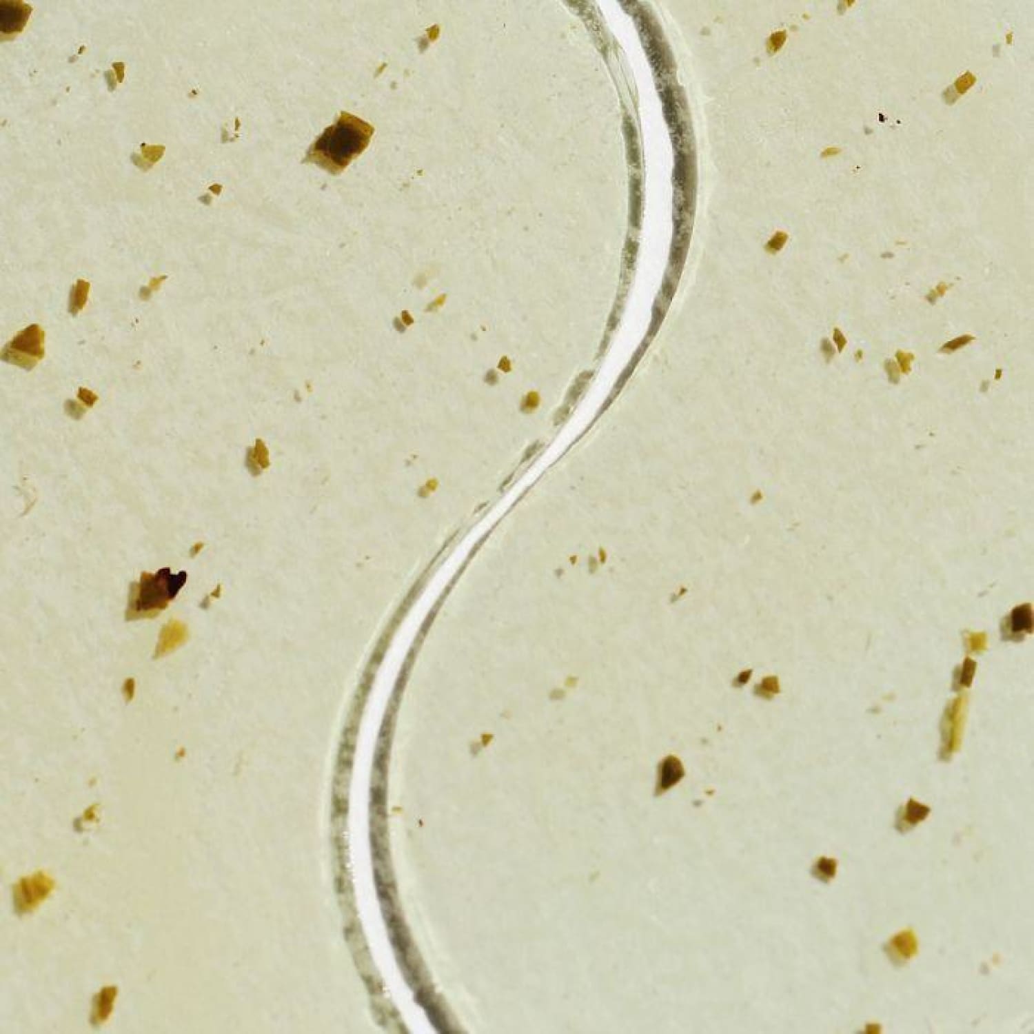 Patchology Aromatherapy Eye Gels - Perk up Aromatherapy