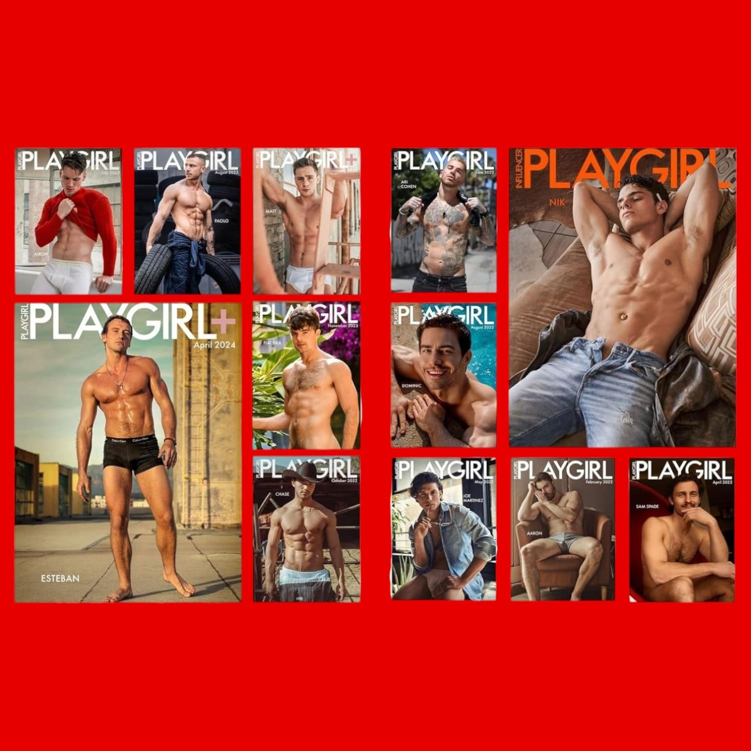 Playgirl: the Official History of a Cult Magazine Art Book