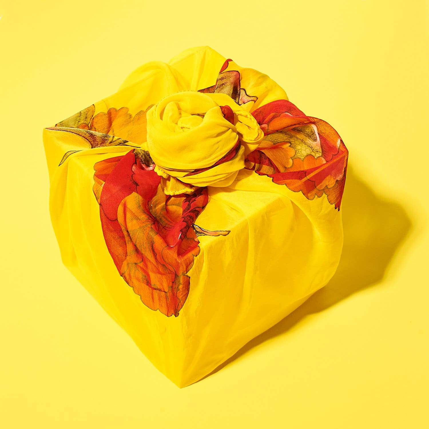 Sari Fabric Wraps