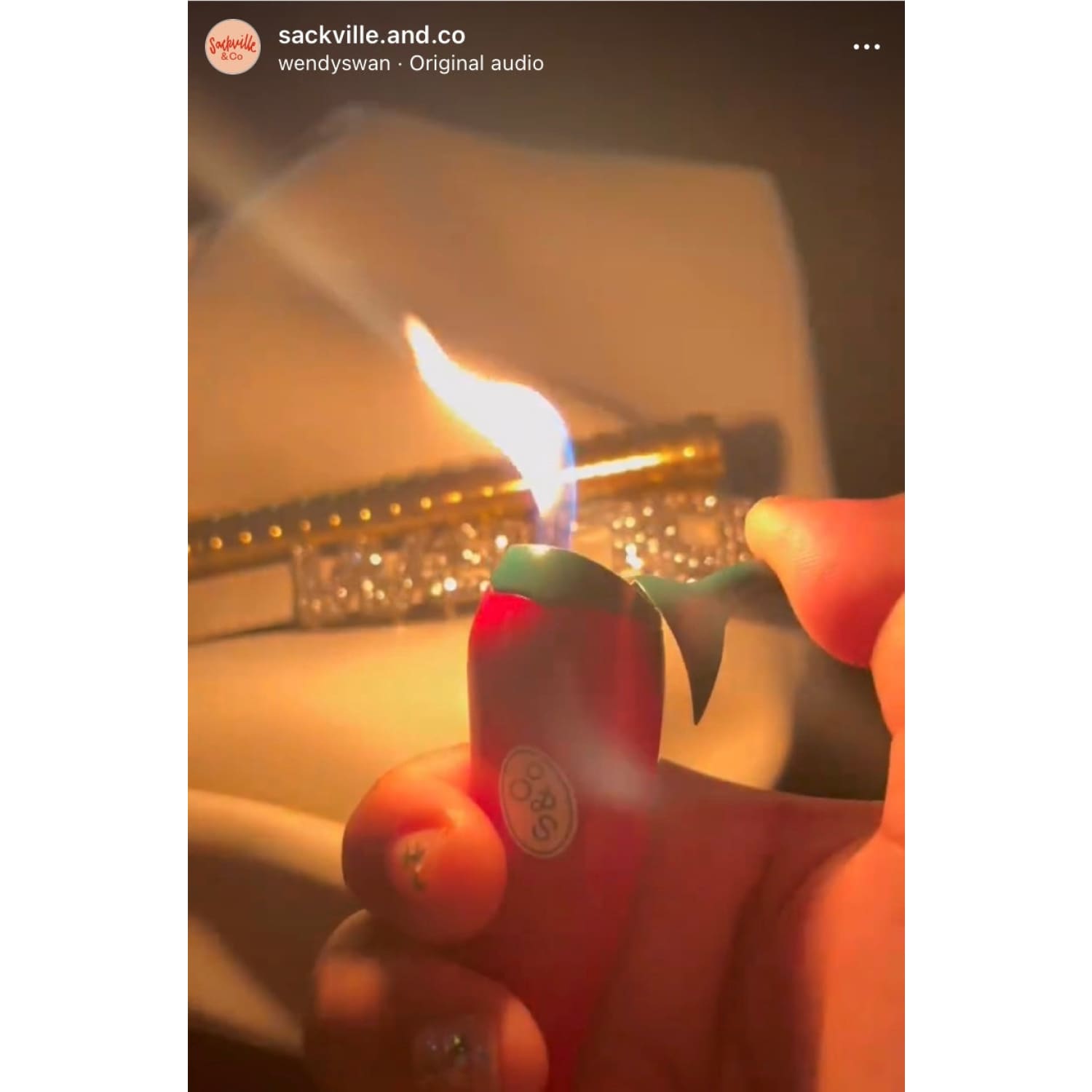Sackville & Co Chili Pepper Lighter Aesthetic Lighter - Fake