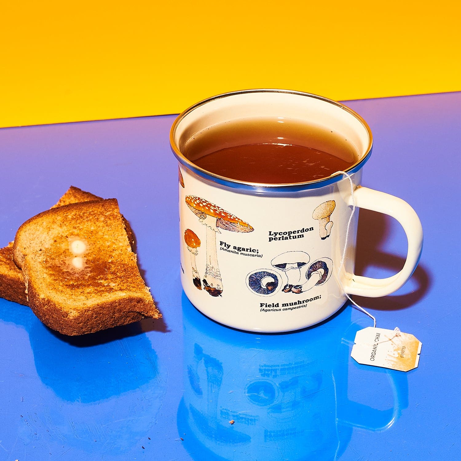 Scientific Mushroom Enamel Mug Dad Day - Fatherās Day -