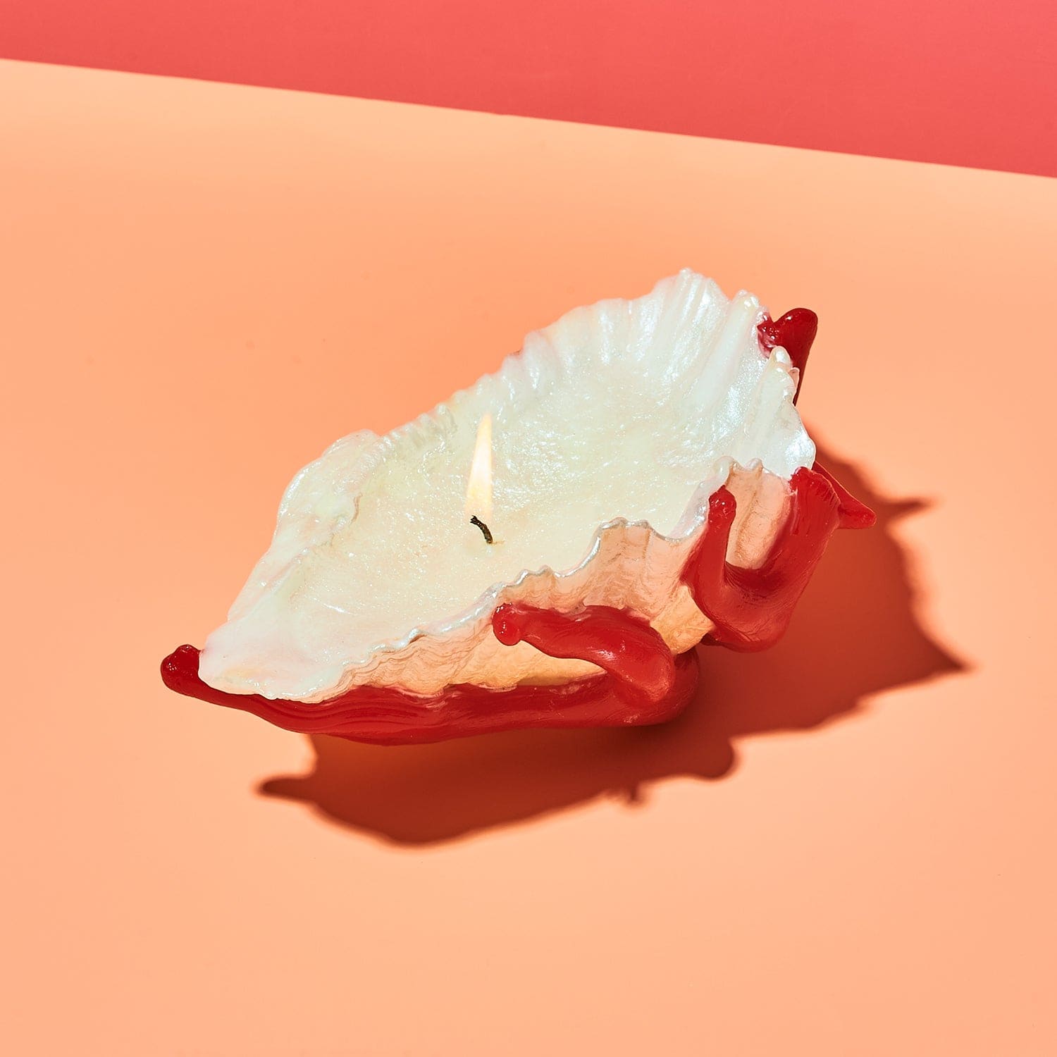 Shell With Coral Candle Candle - Novelty - Unique